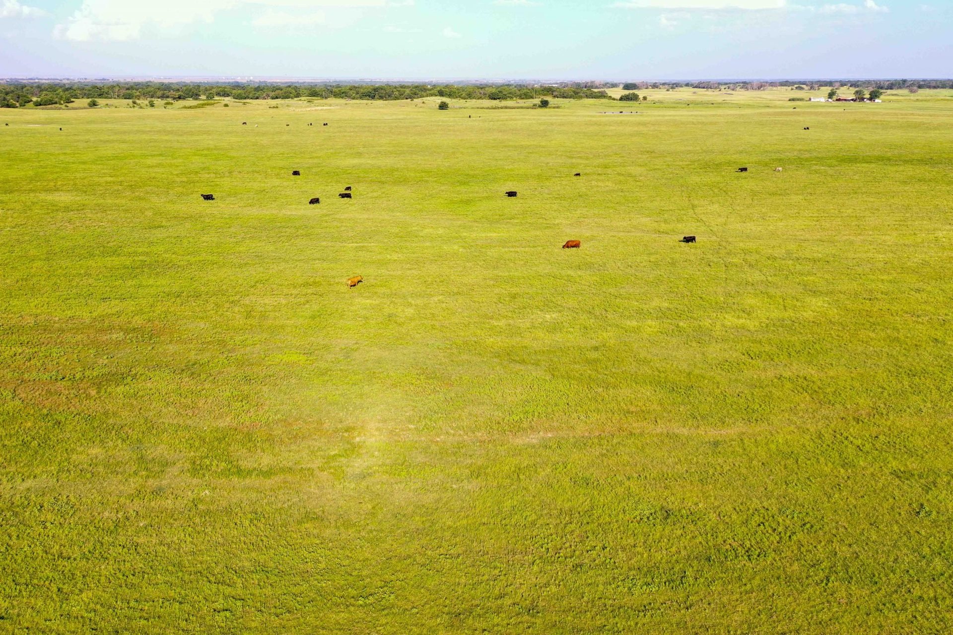 Drone Pics