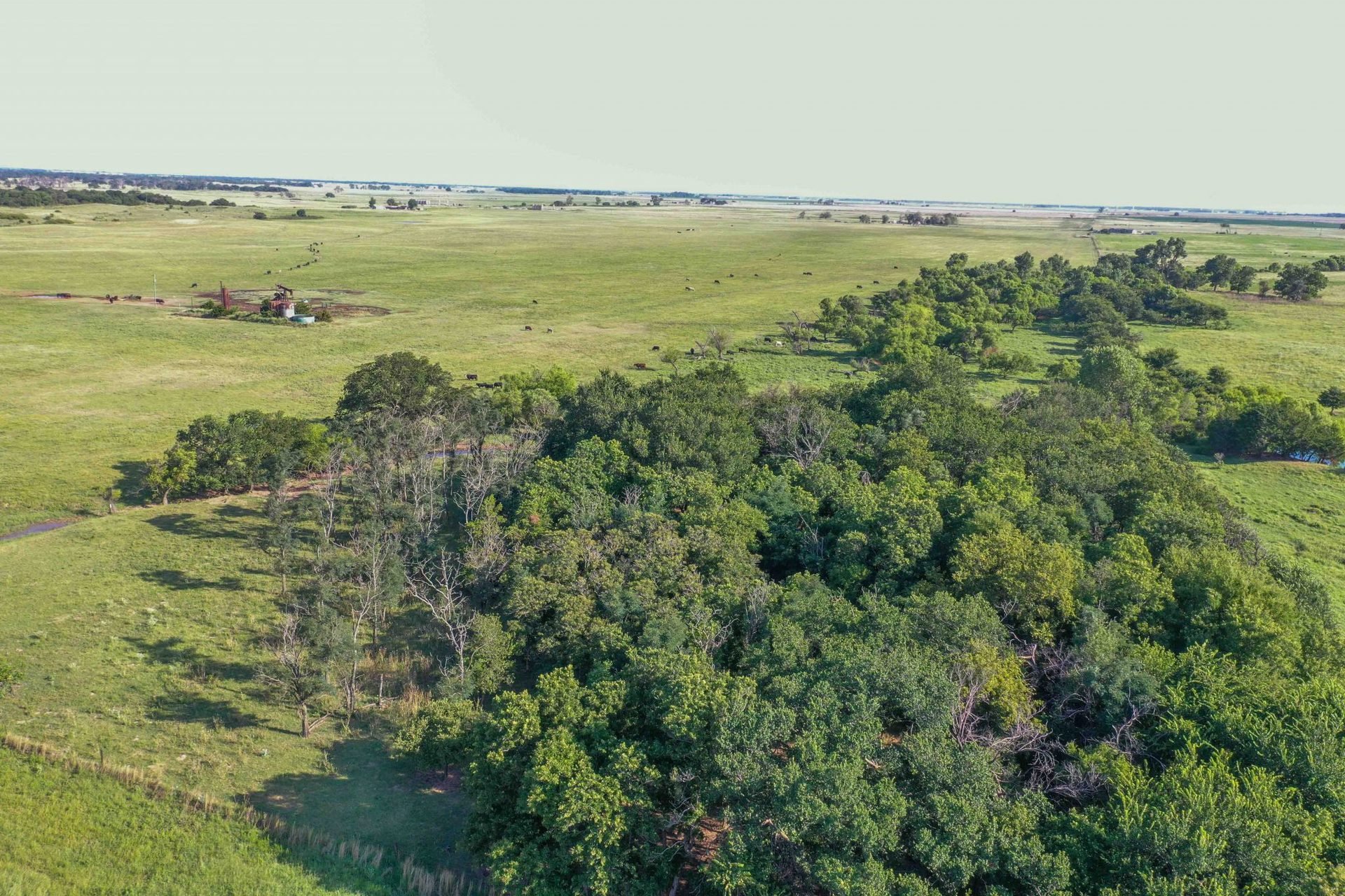 Drone Pics