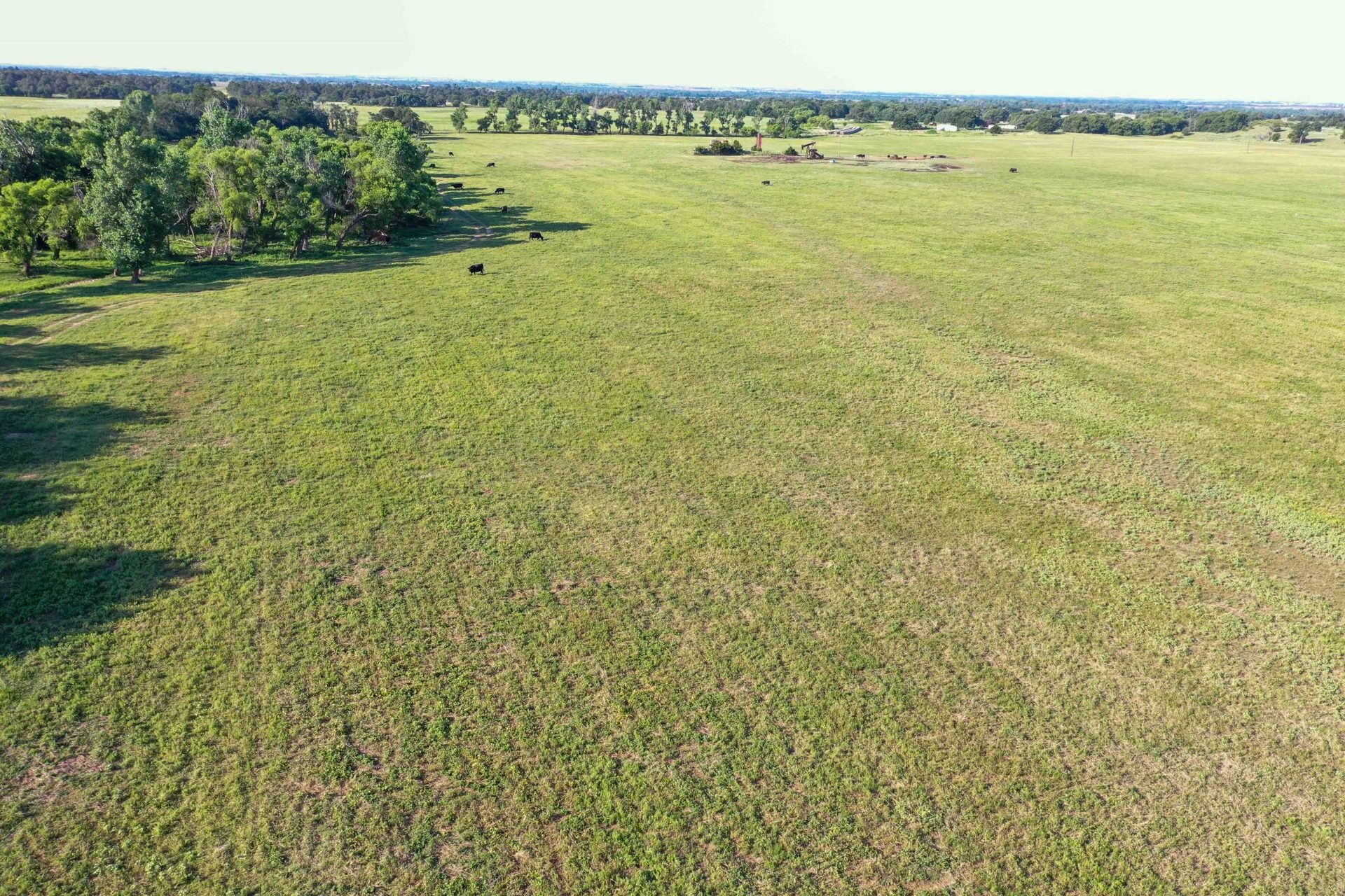 Drone Pics