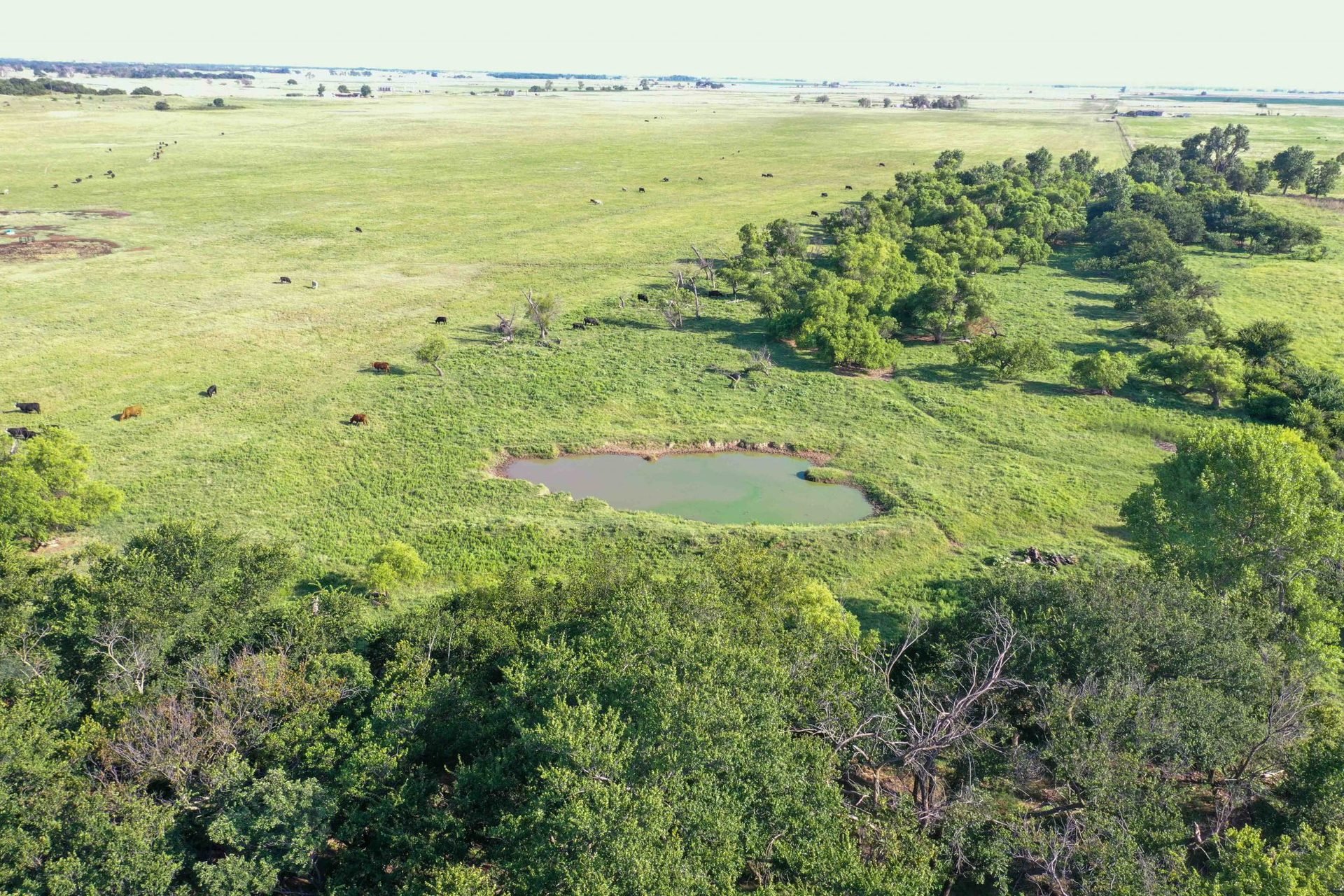 Drone Pics