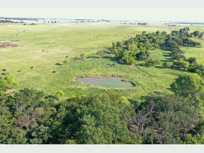 Drone Pics