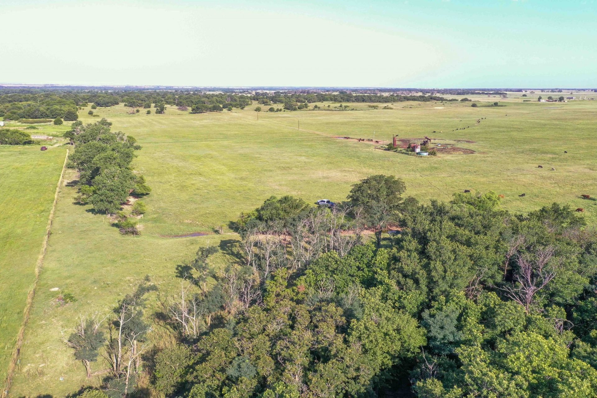 Drone Pics