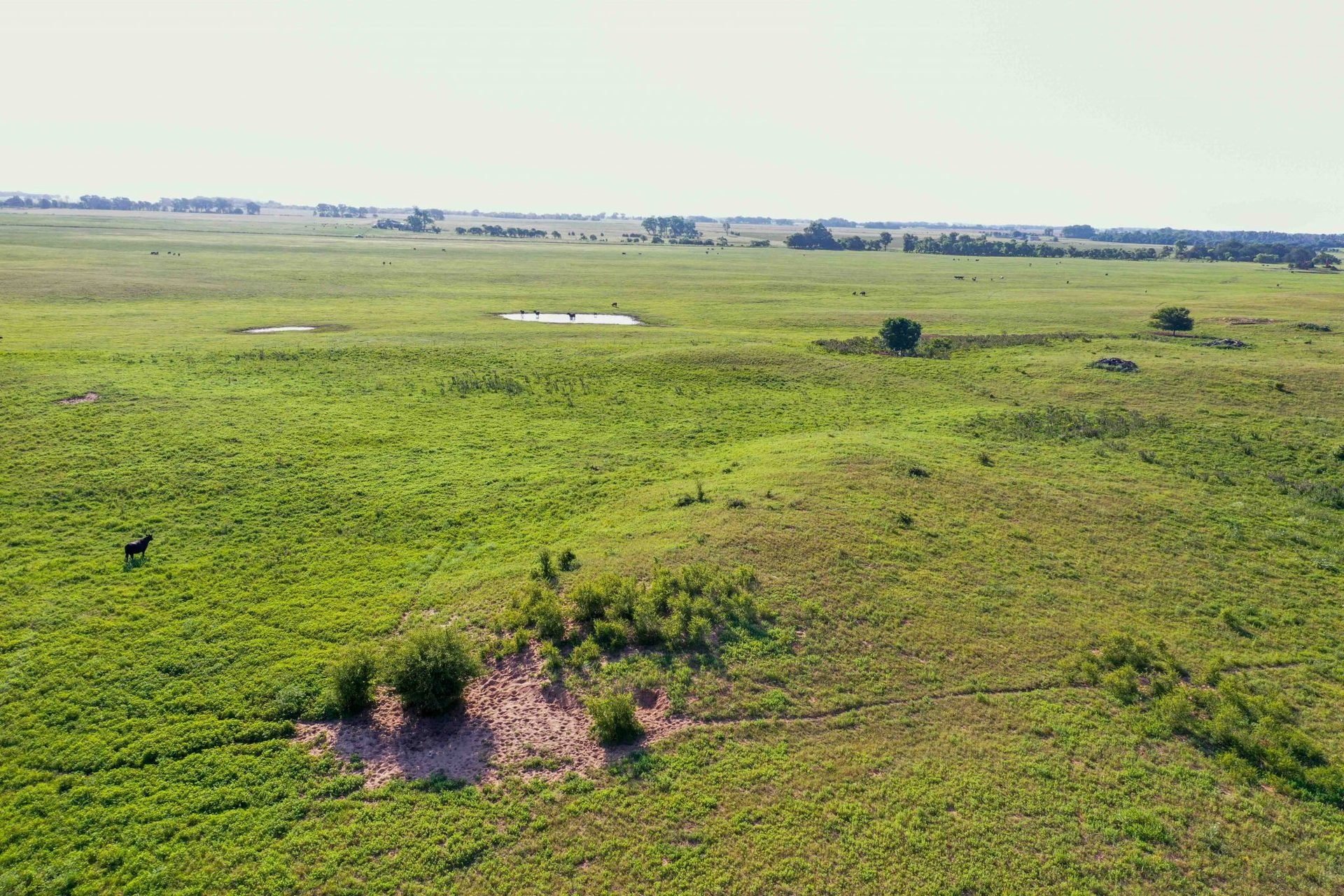 Drone Pics