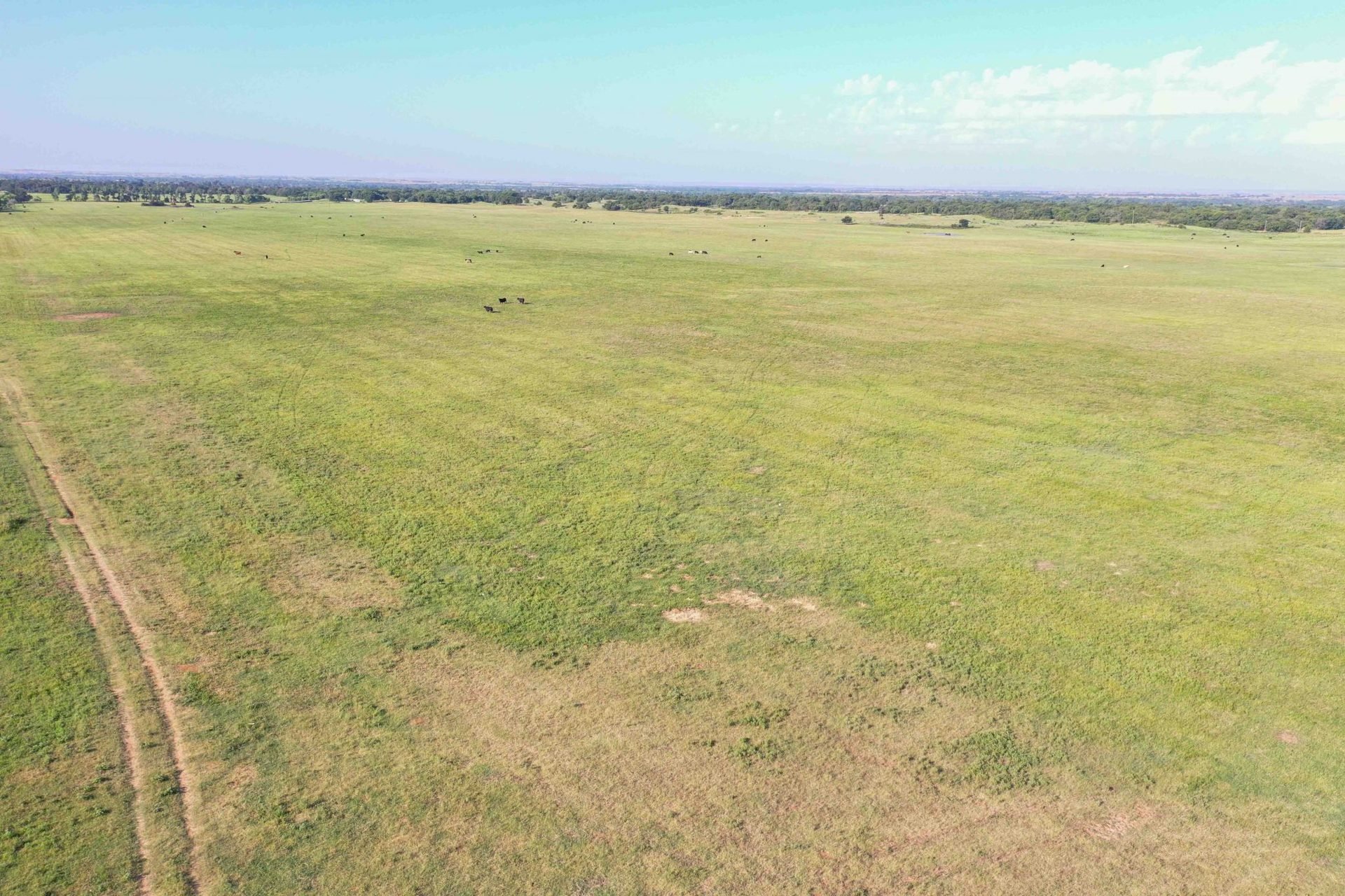 Drone Pics