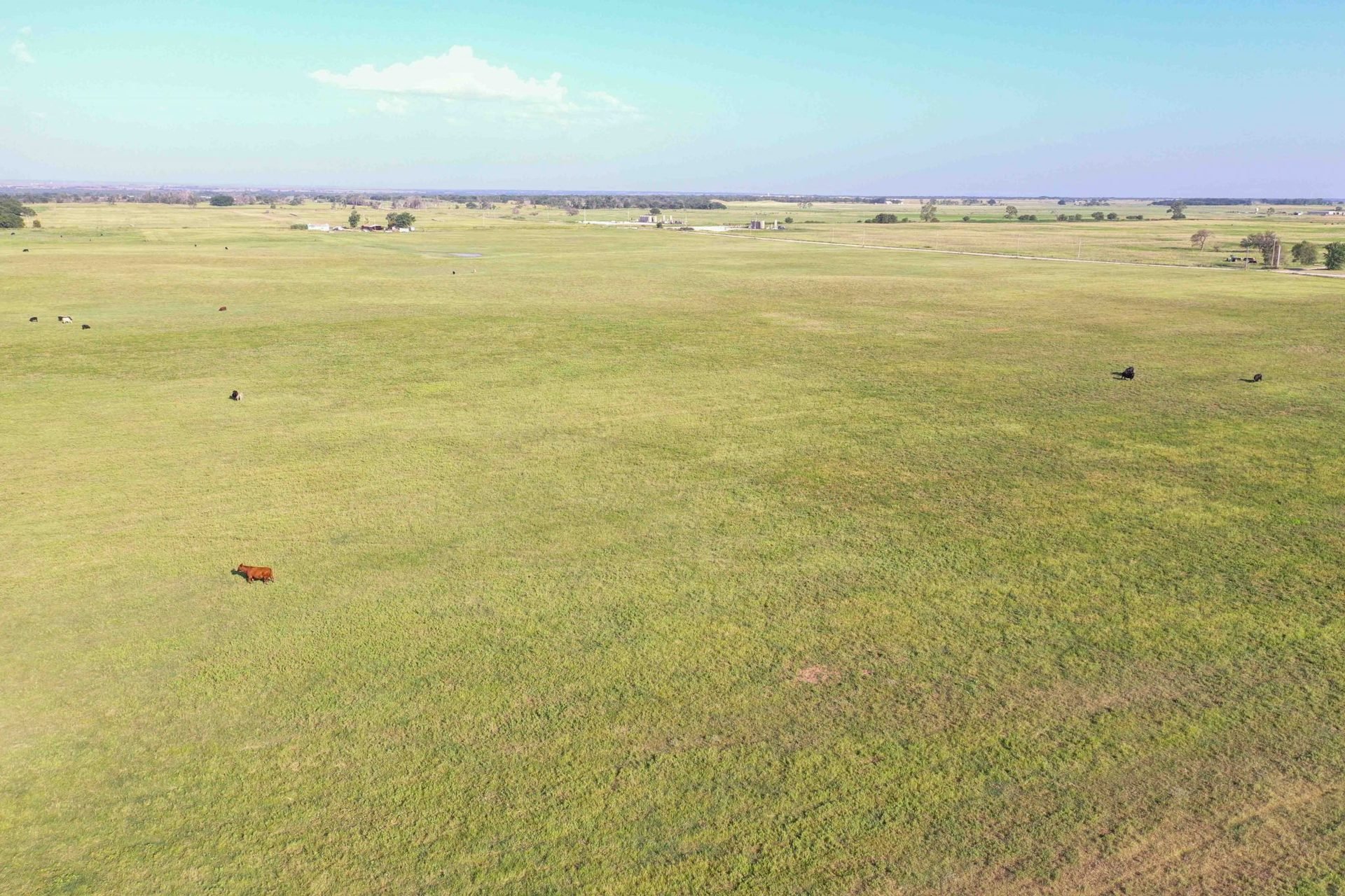 Drone Pics
