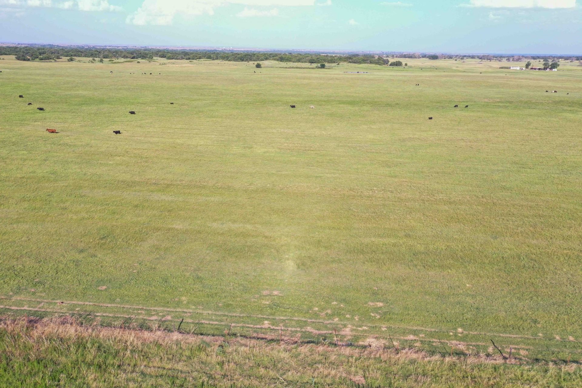 Drone Pics