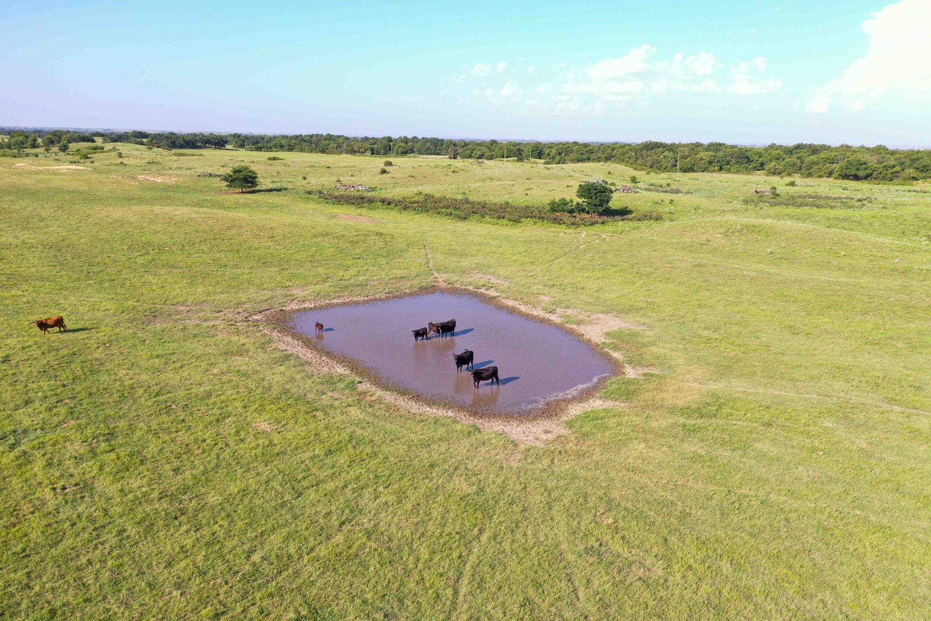 Drone Pics
