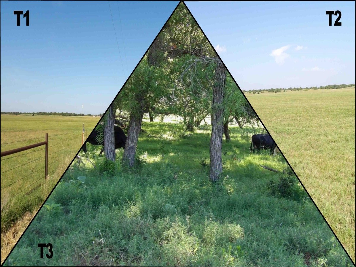 8/22 238.94± ACRES OFFERED IN 4 TRACTS