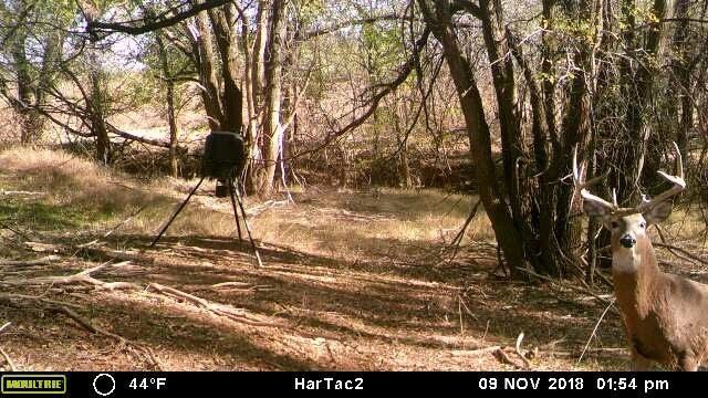 Additional Photos