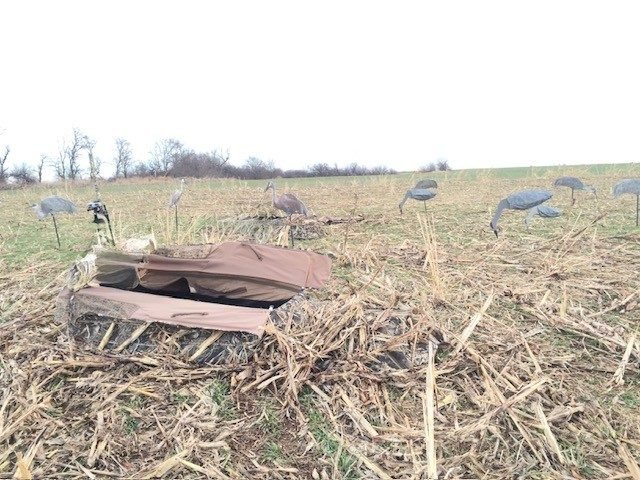 Additional Photos