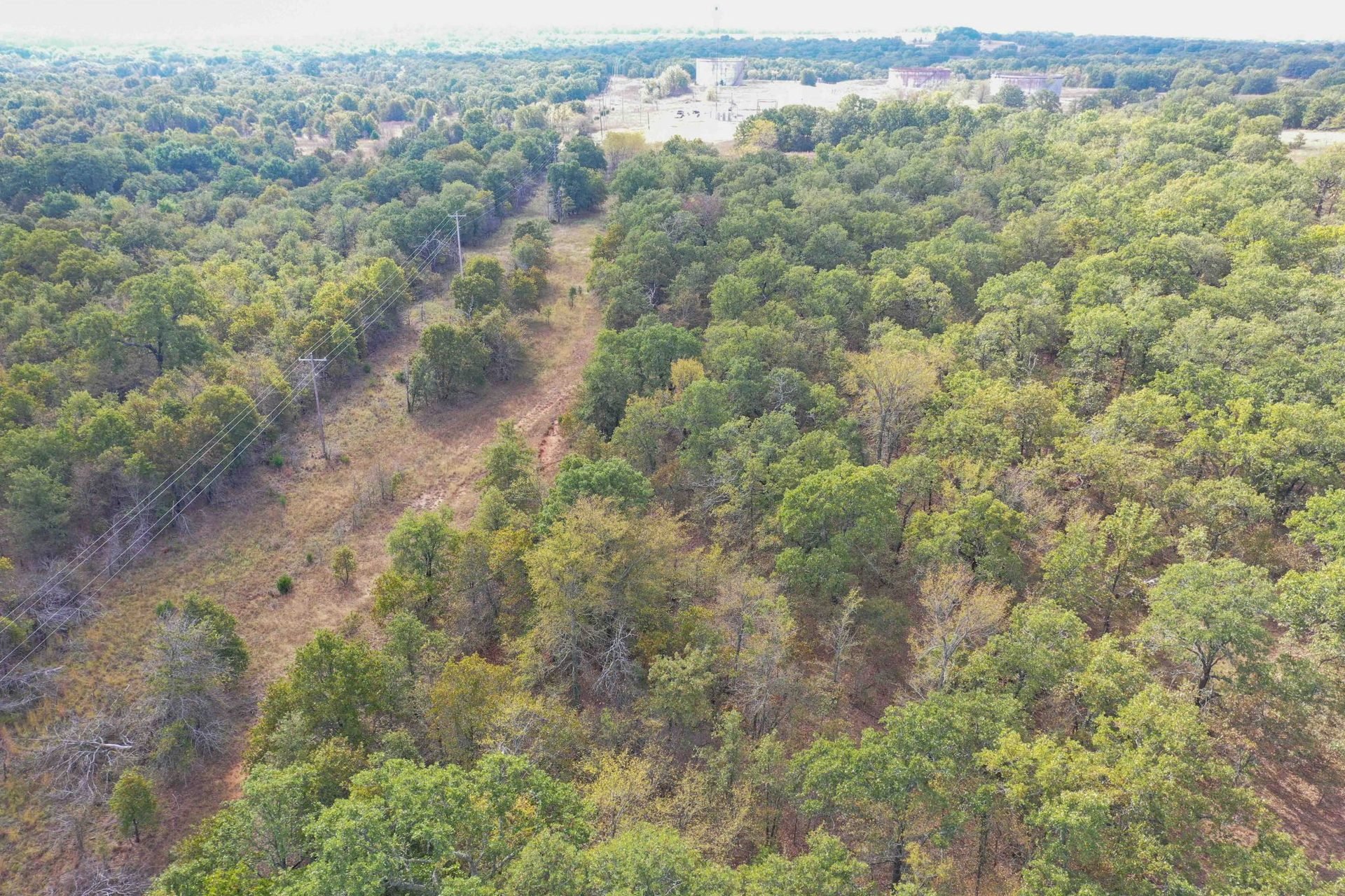 12/3 70± Acres MOL * Black Jacks * Hunting * Good Access Roads * Springer OK