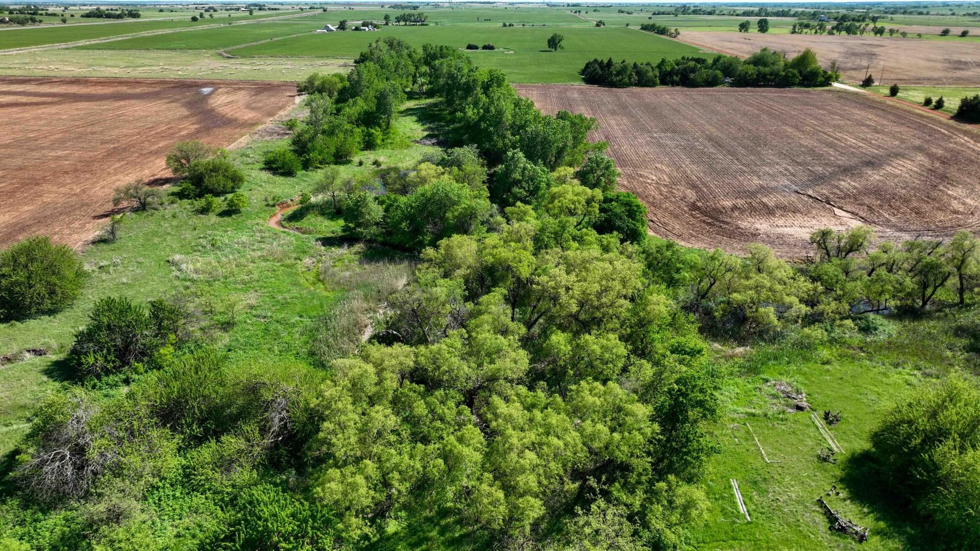 Drone Pics