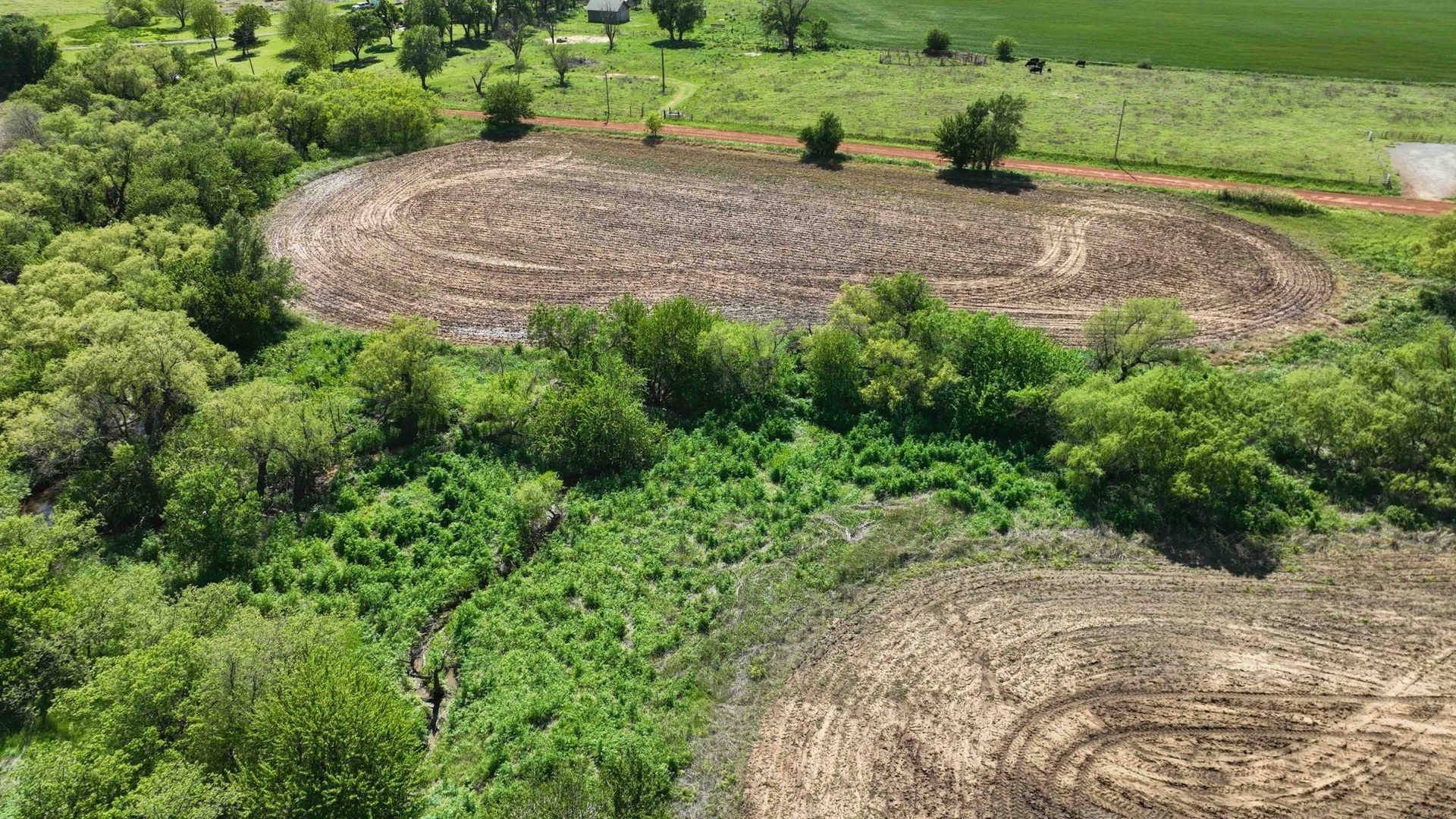 Drone Pics