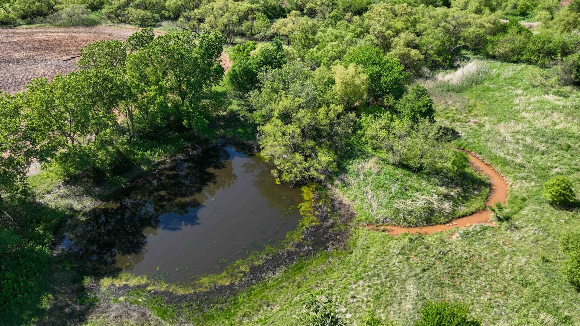 Drone Pics