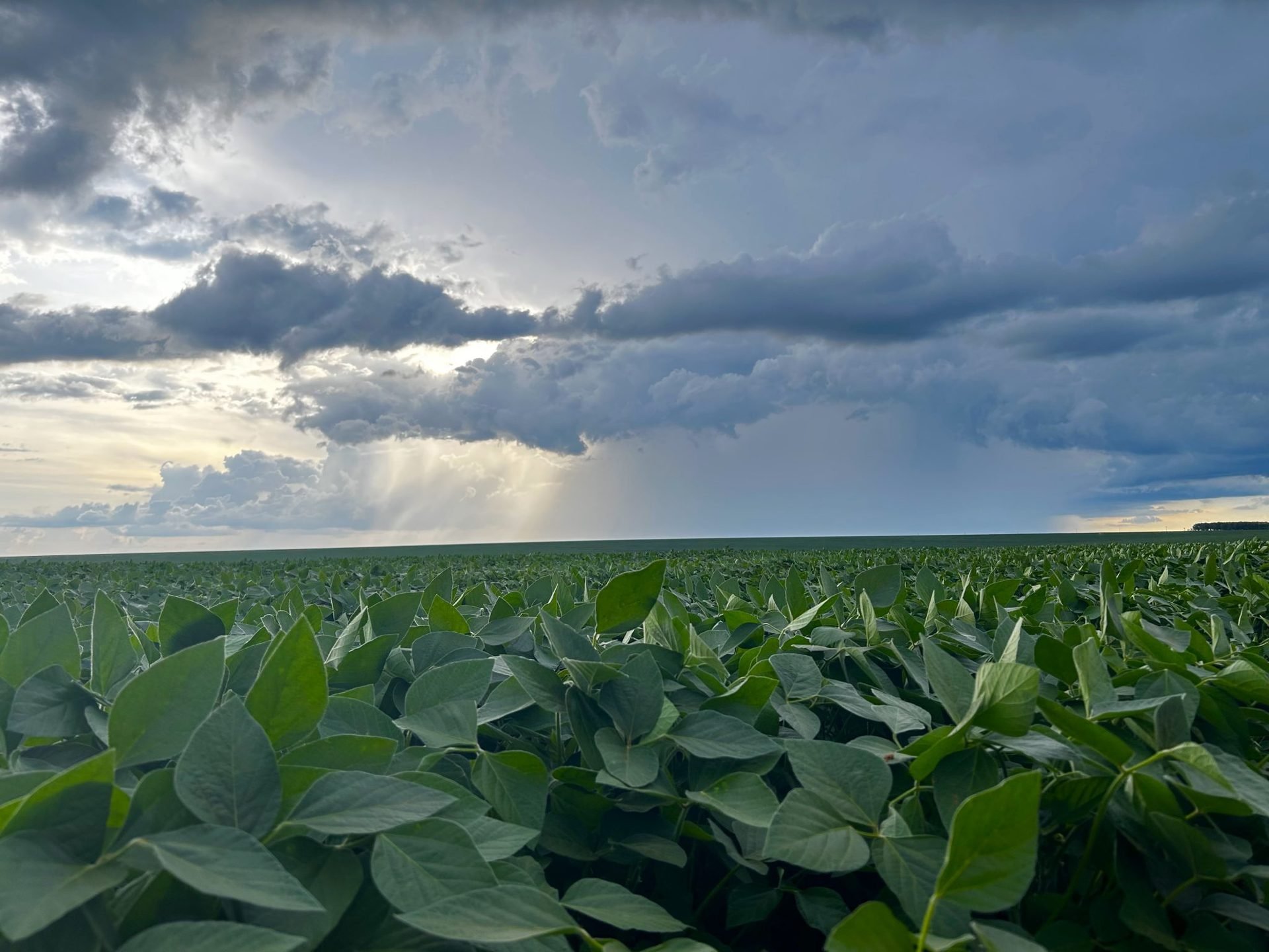 9/22 720± ACRES * SUMNER COUNTY, KANSAS