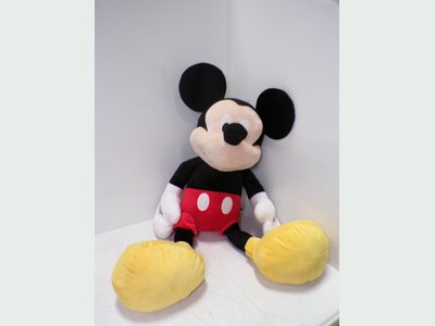 Photo 19