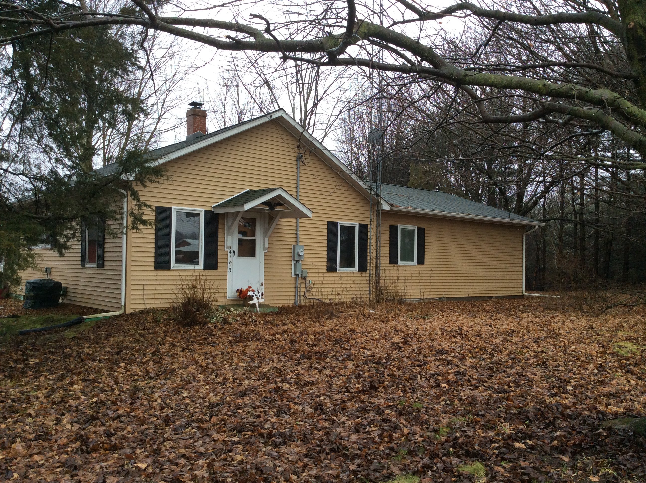 Real Estate Pictures