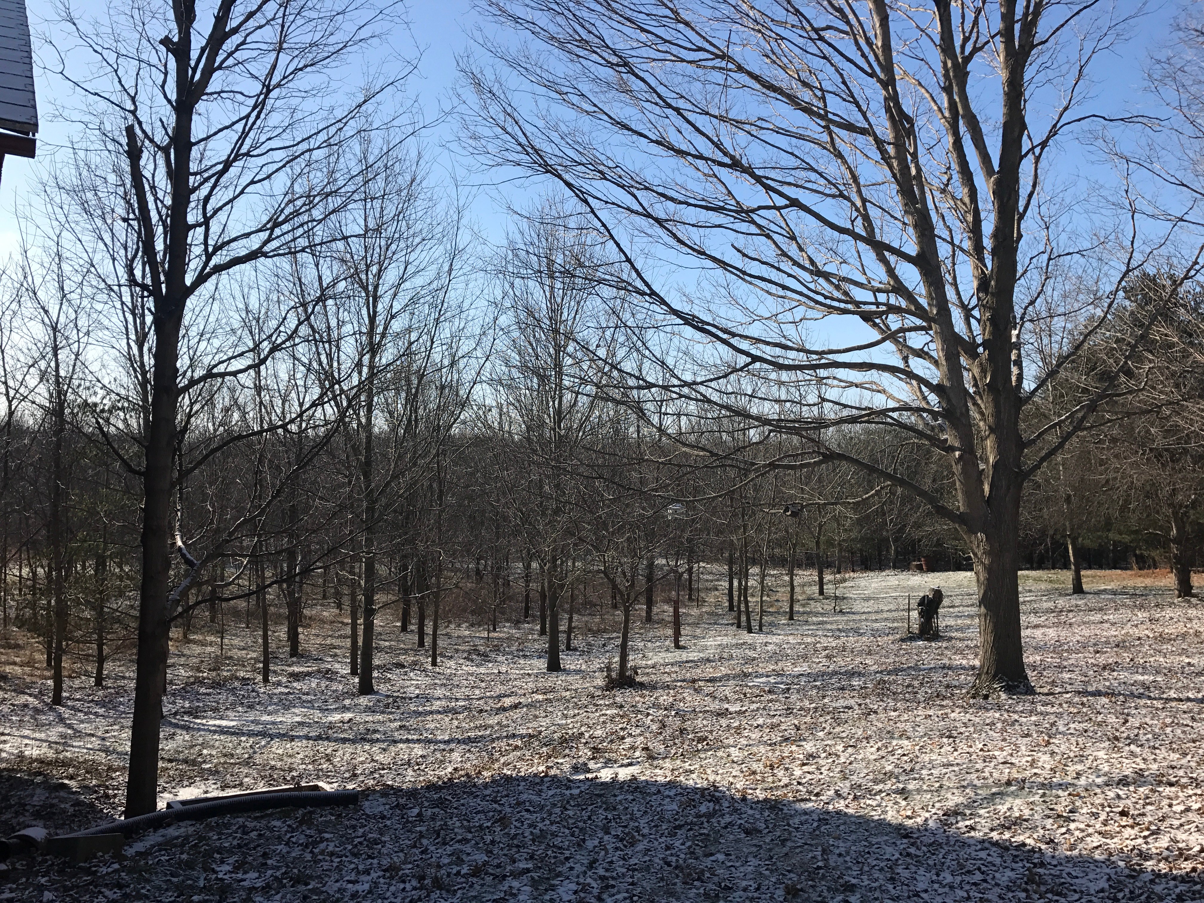 Real Estate Pictures