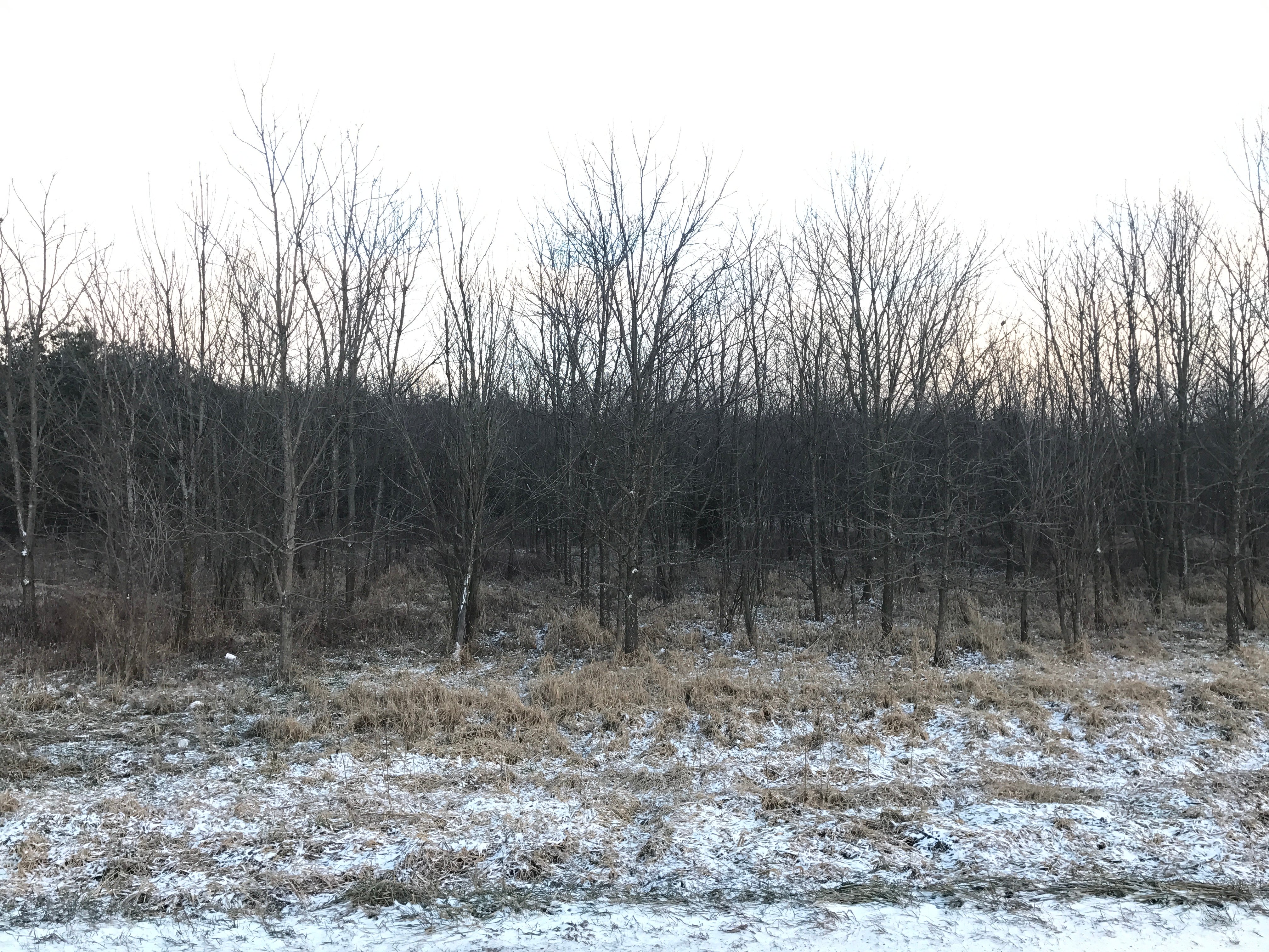 Real Estate Pictures