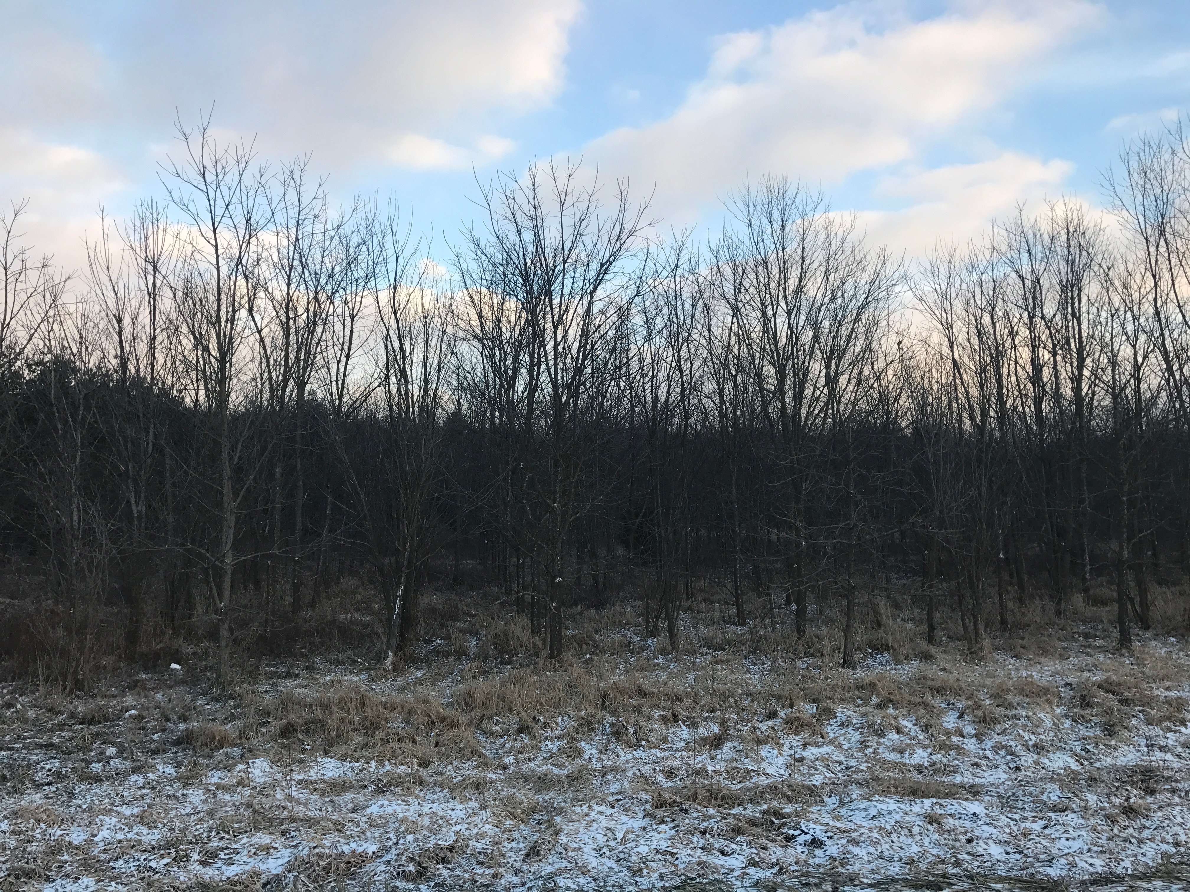 Real Estate Pictures