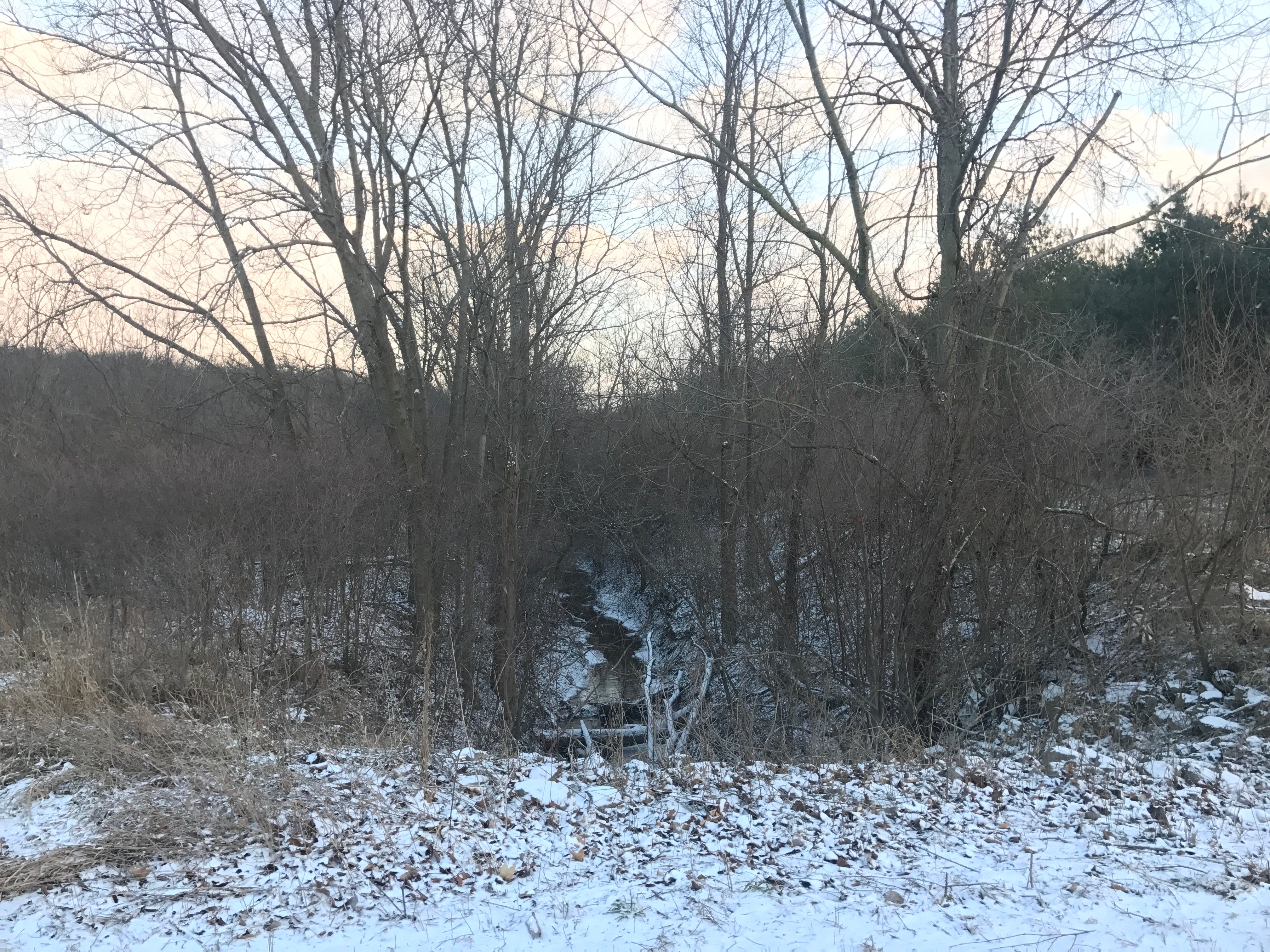 Real Estate Pictures