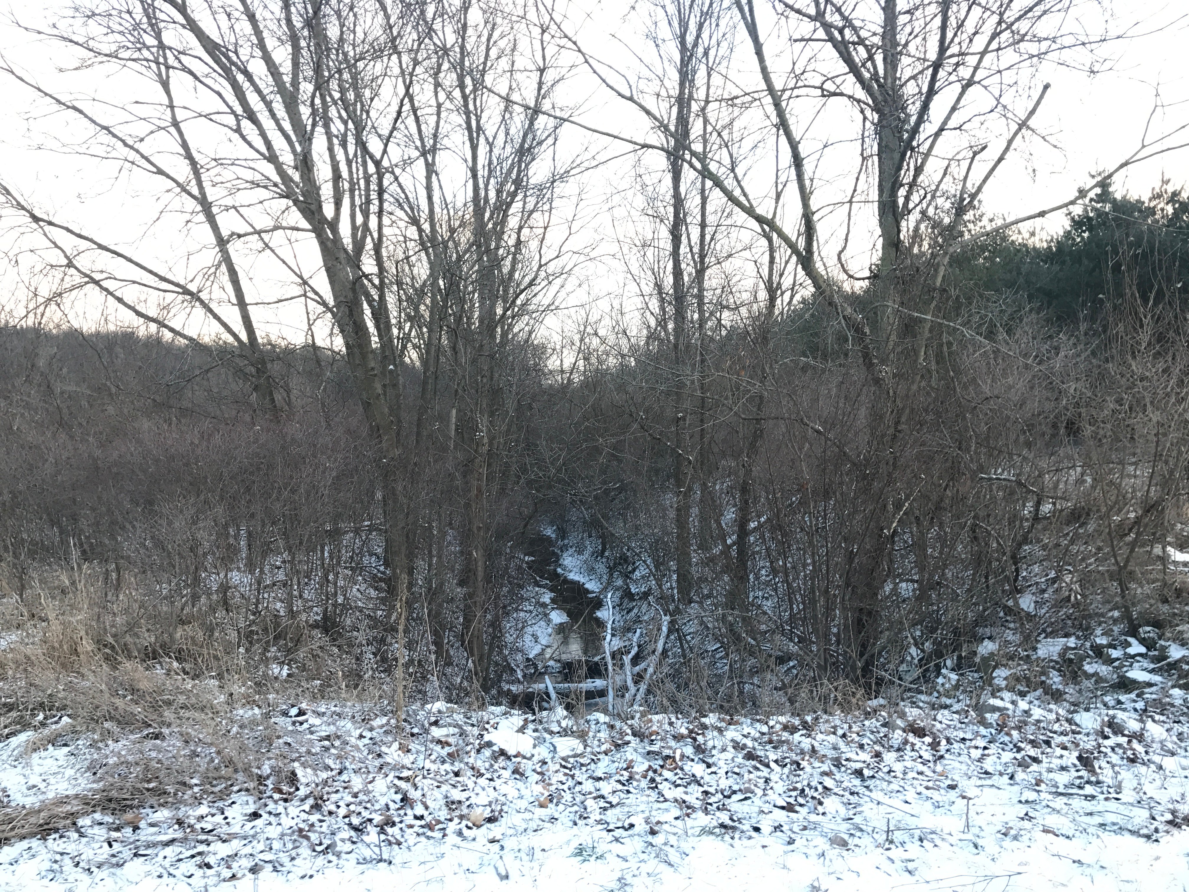 Real Estate Pictures