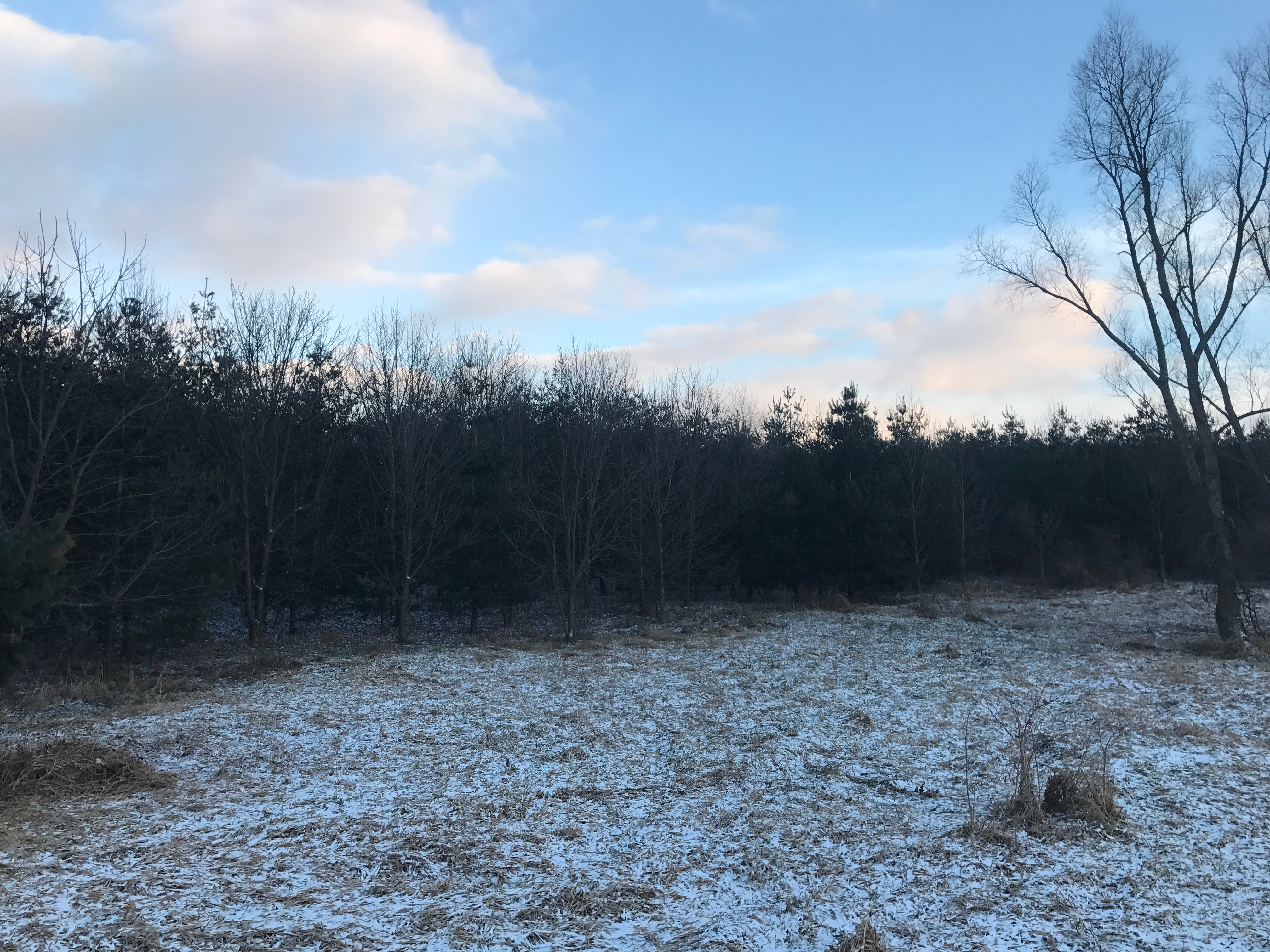 Real Estate Pictures