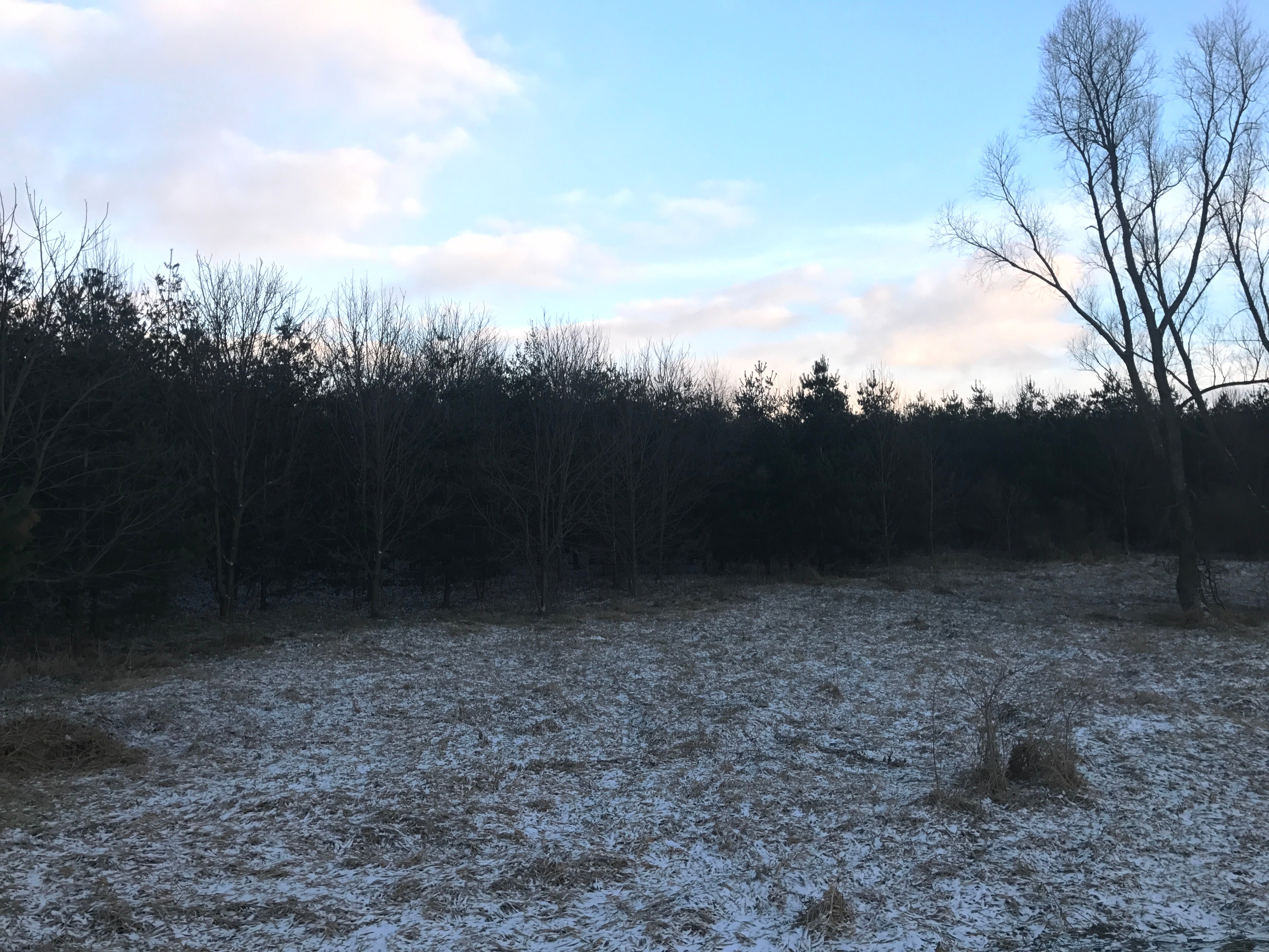 Real Estate Pictures