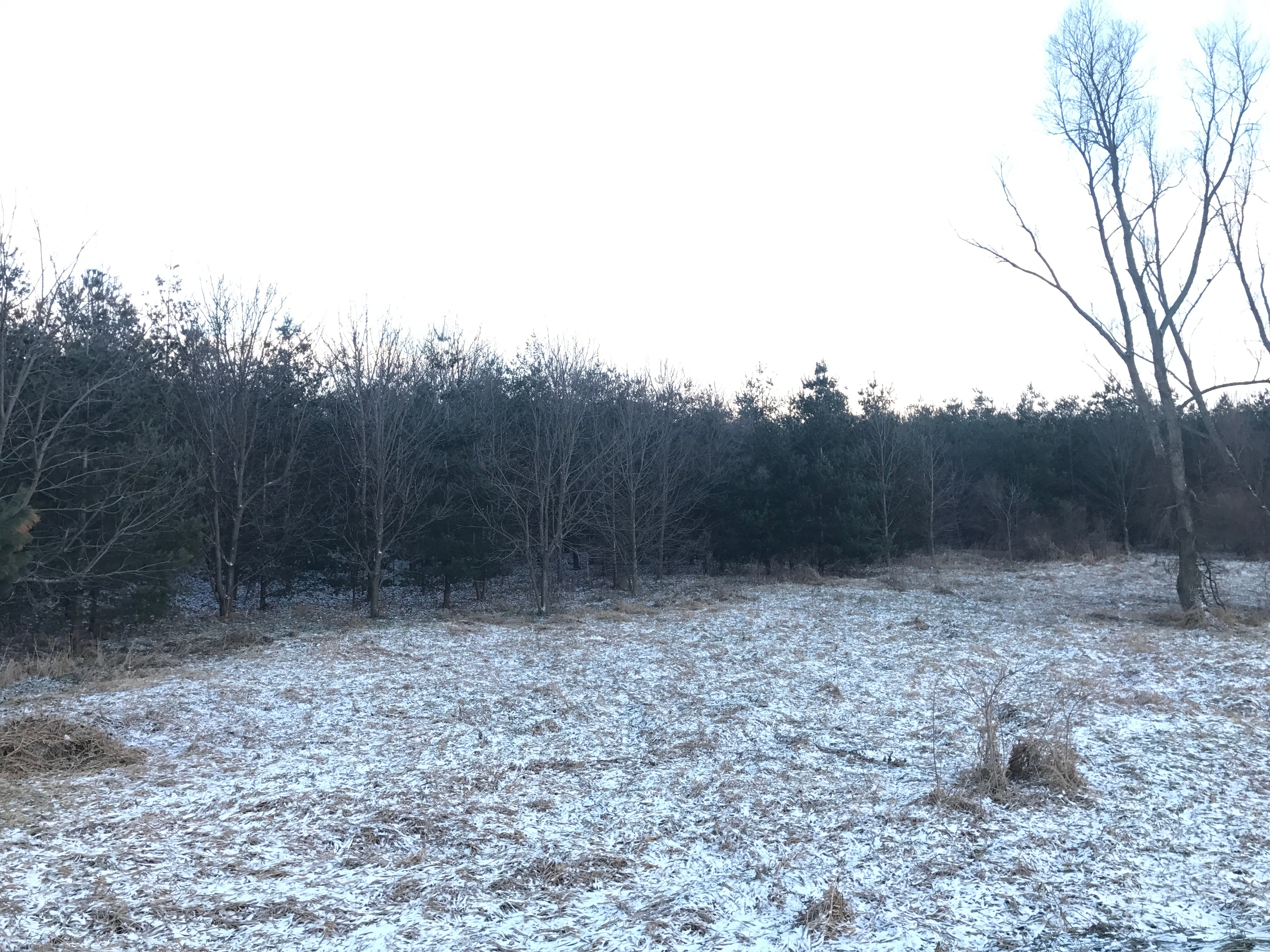 Real Estate Pictures