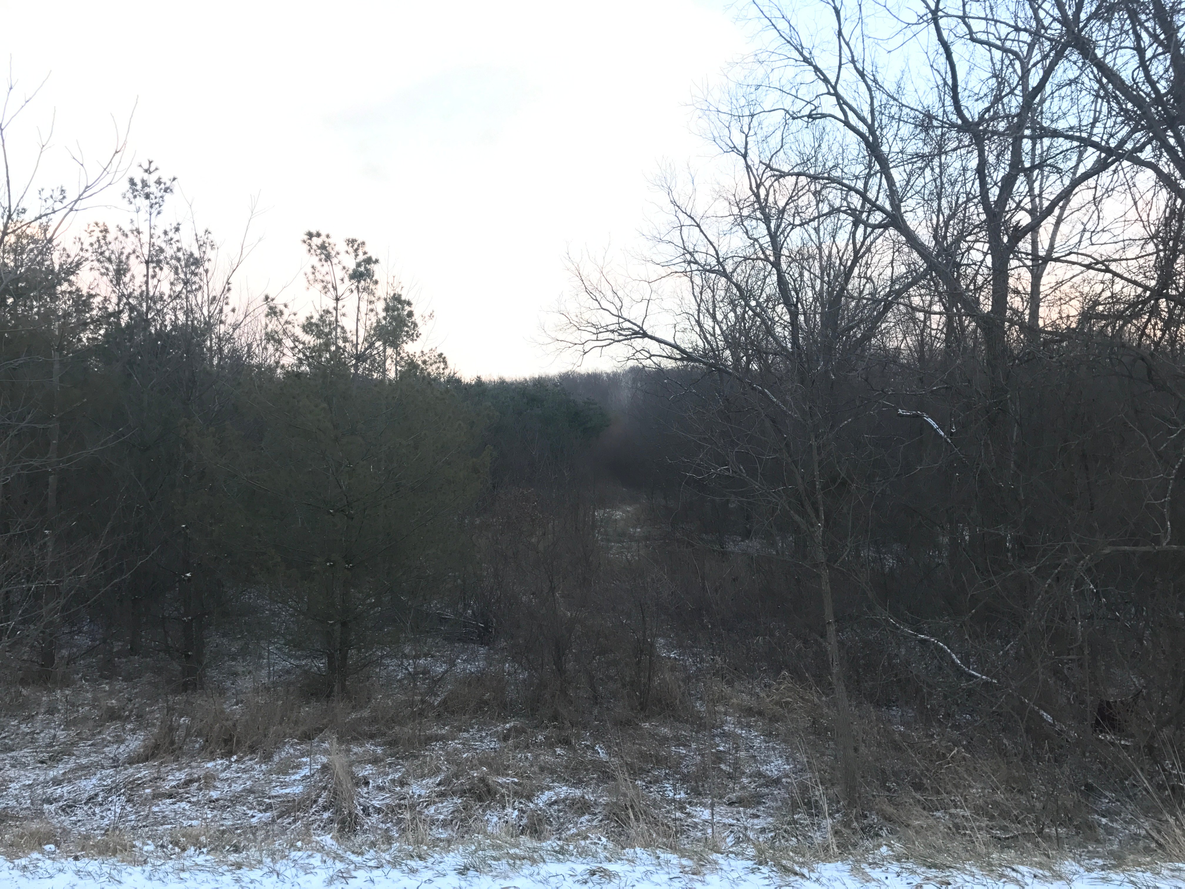 Real Estate Pictures