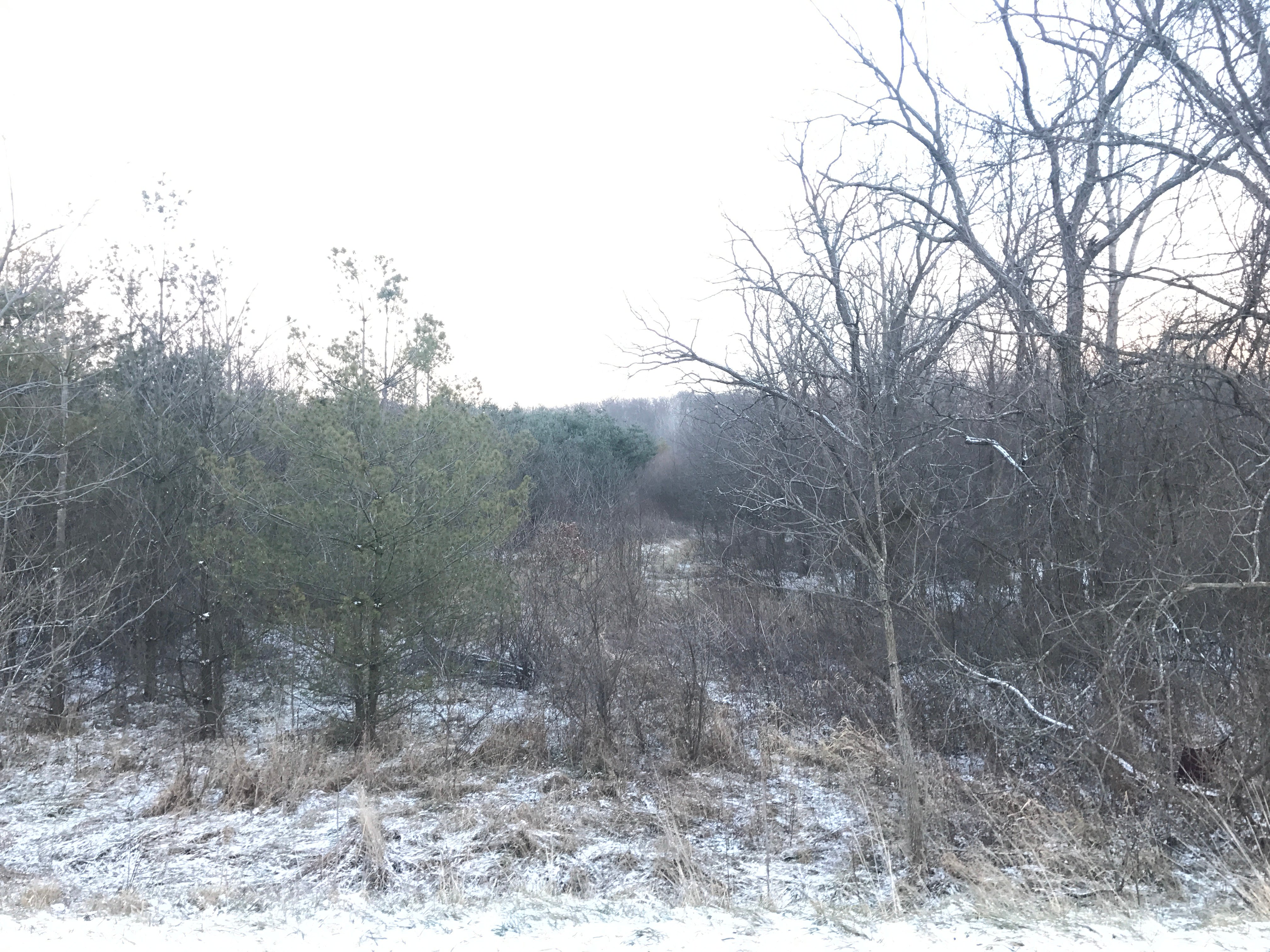 Real Estate Pictures