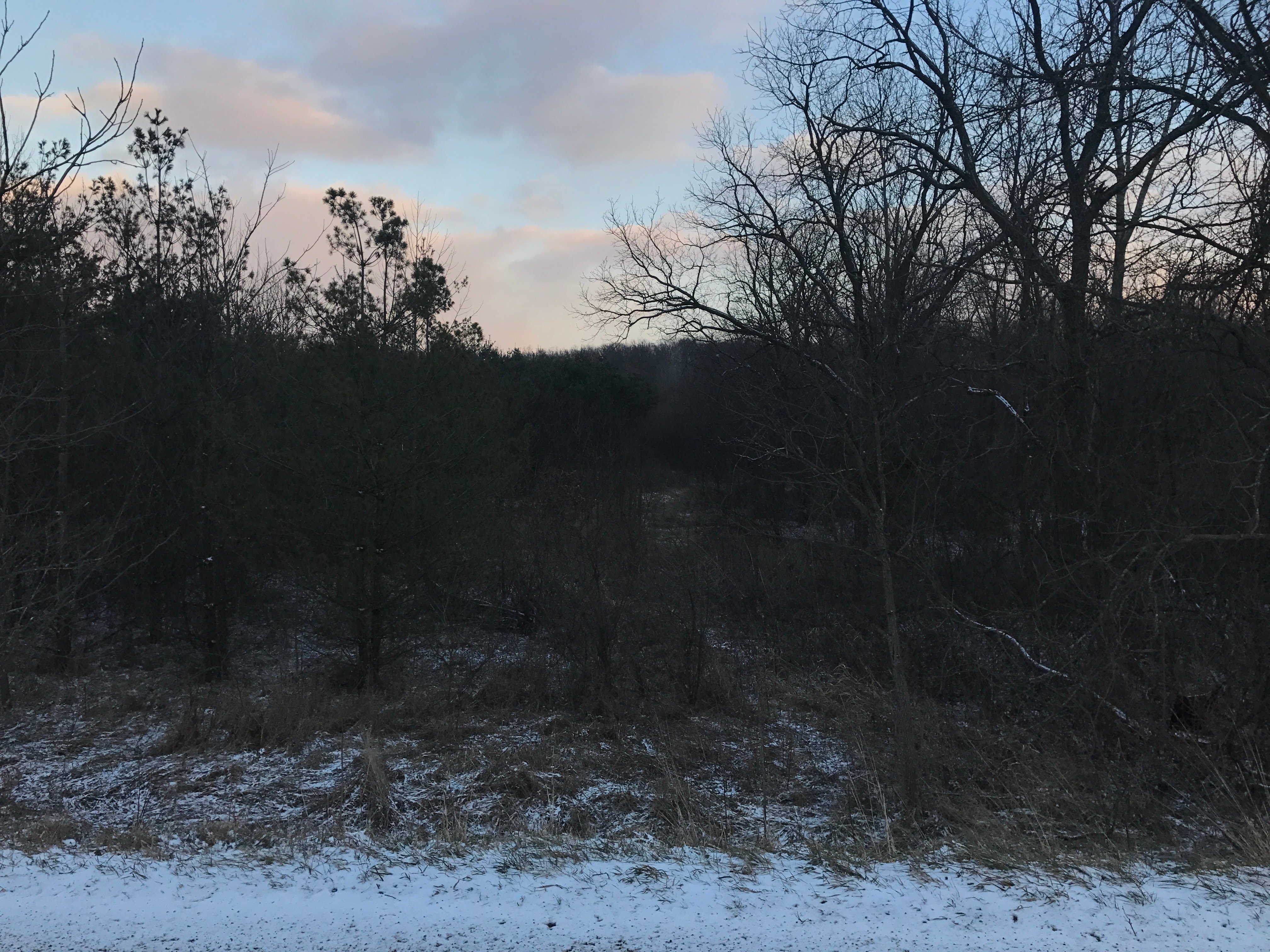 Real Estate Pictures