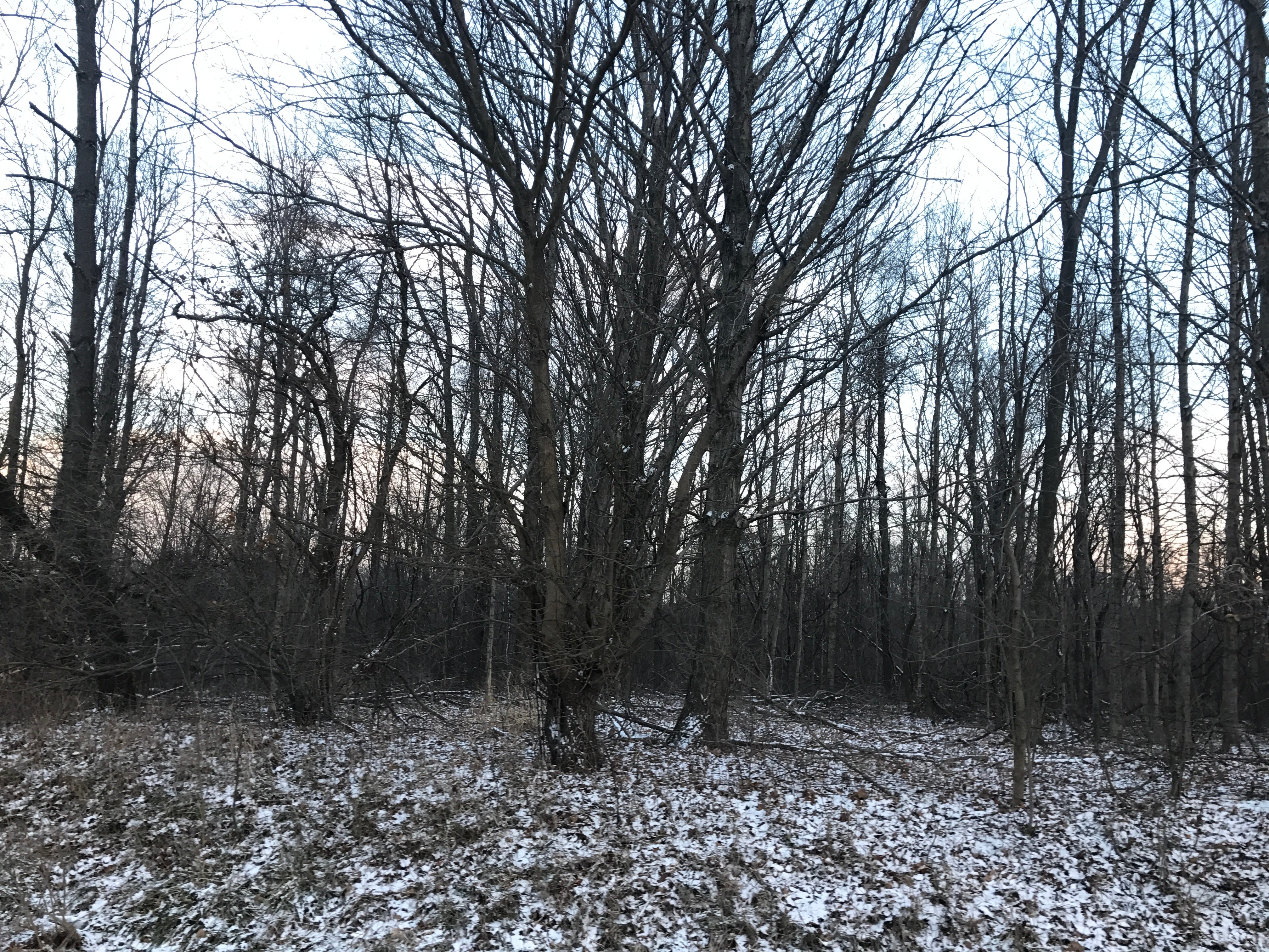 Real Estate Pictures