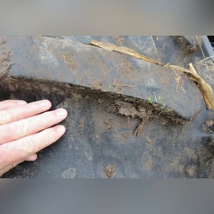 2001 Gleaner R-62 combine, 30.5 L 32 tires, 2919 hrs, 1955 separator hrs, lateral tilt, SN R62-HK62217