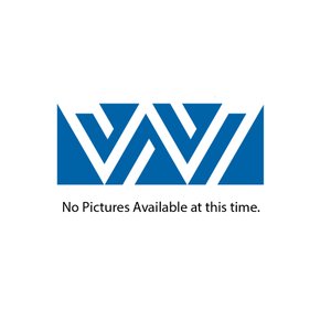 Small hay chain elevator w/ electric drive