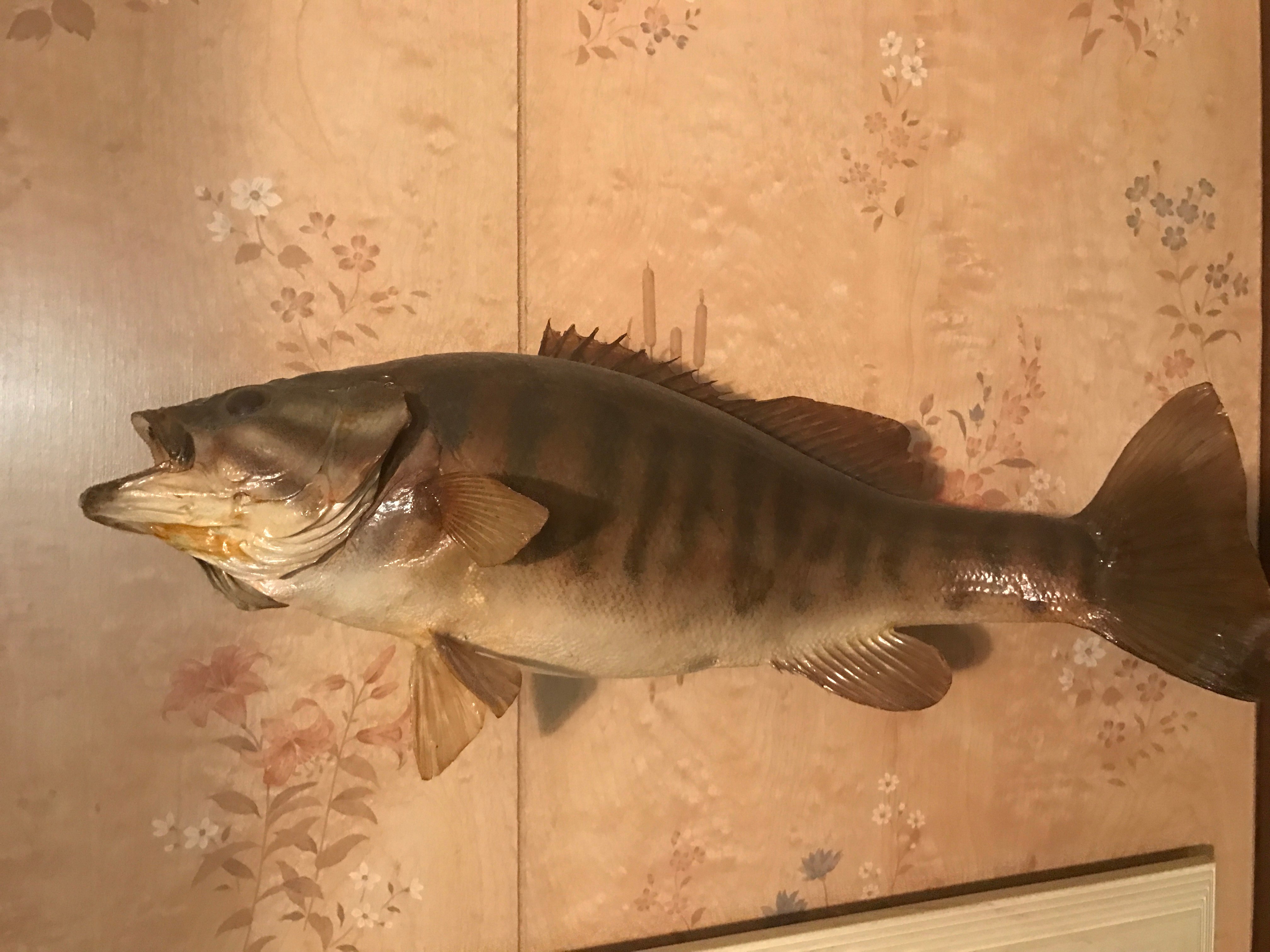 Personal Property Pictures