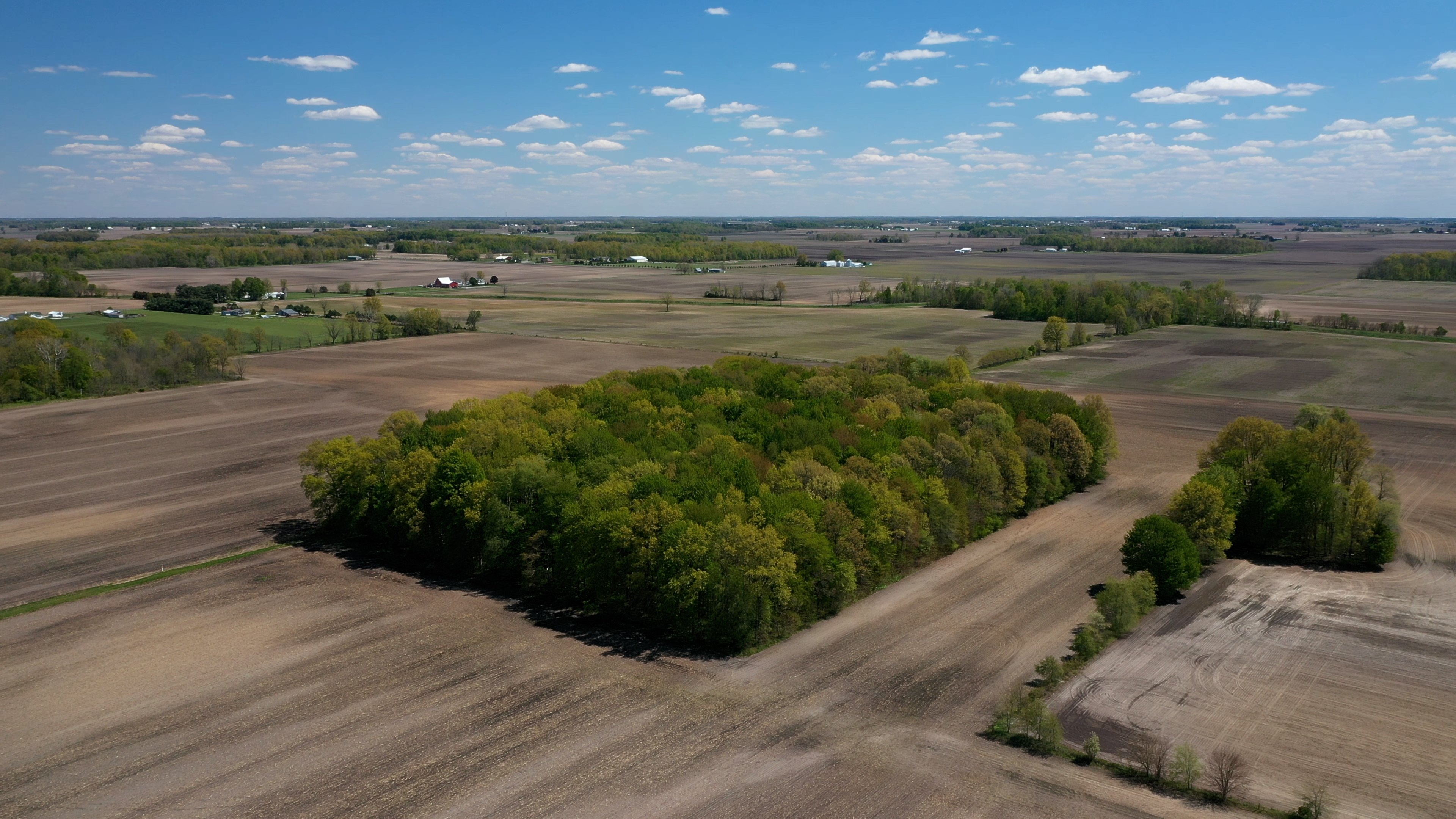 Real Estate Pictures