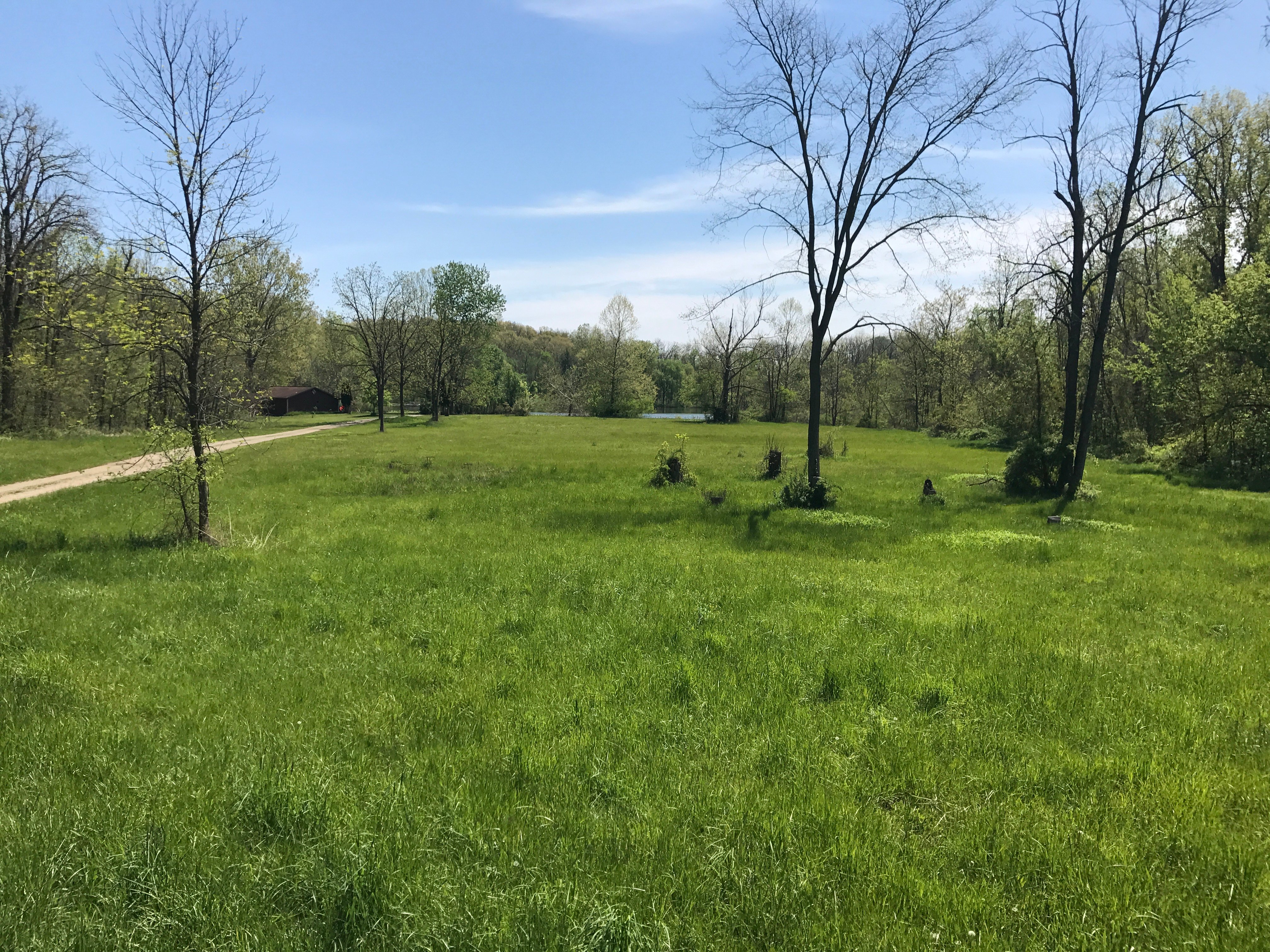 Real Estate Pictures