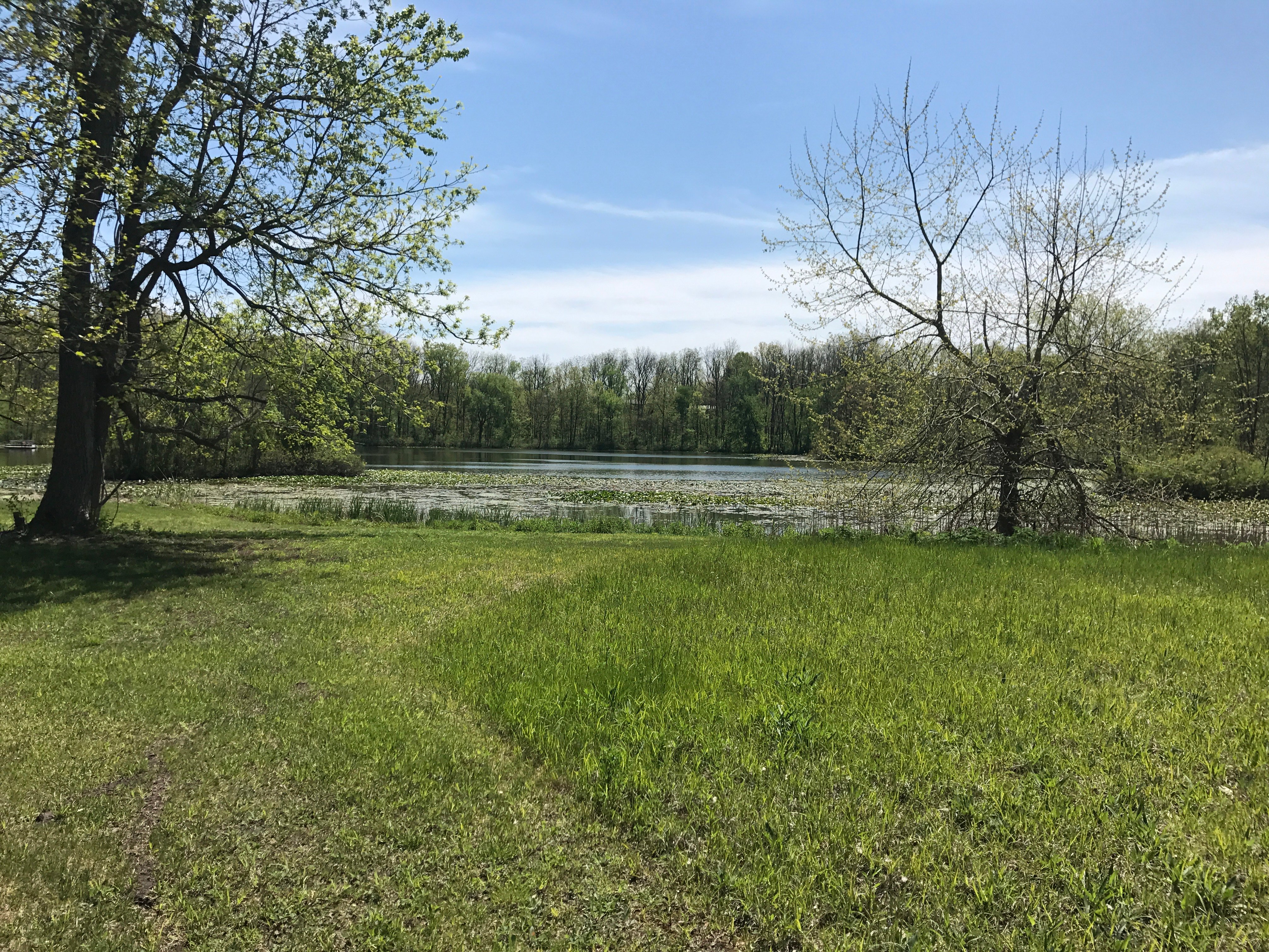 Real Estate Pictures