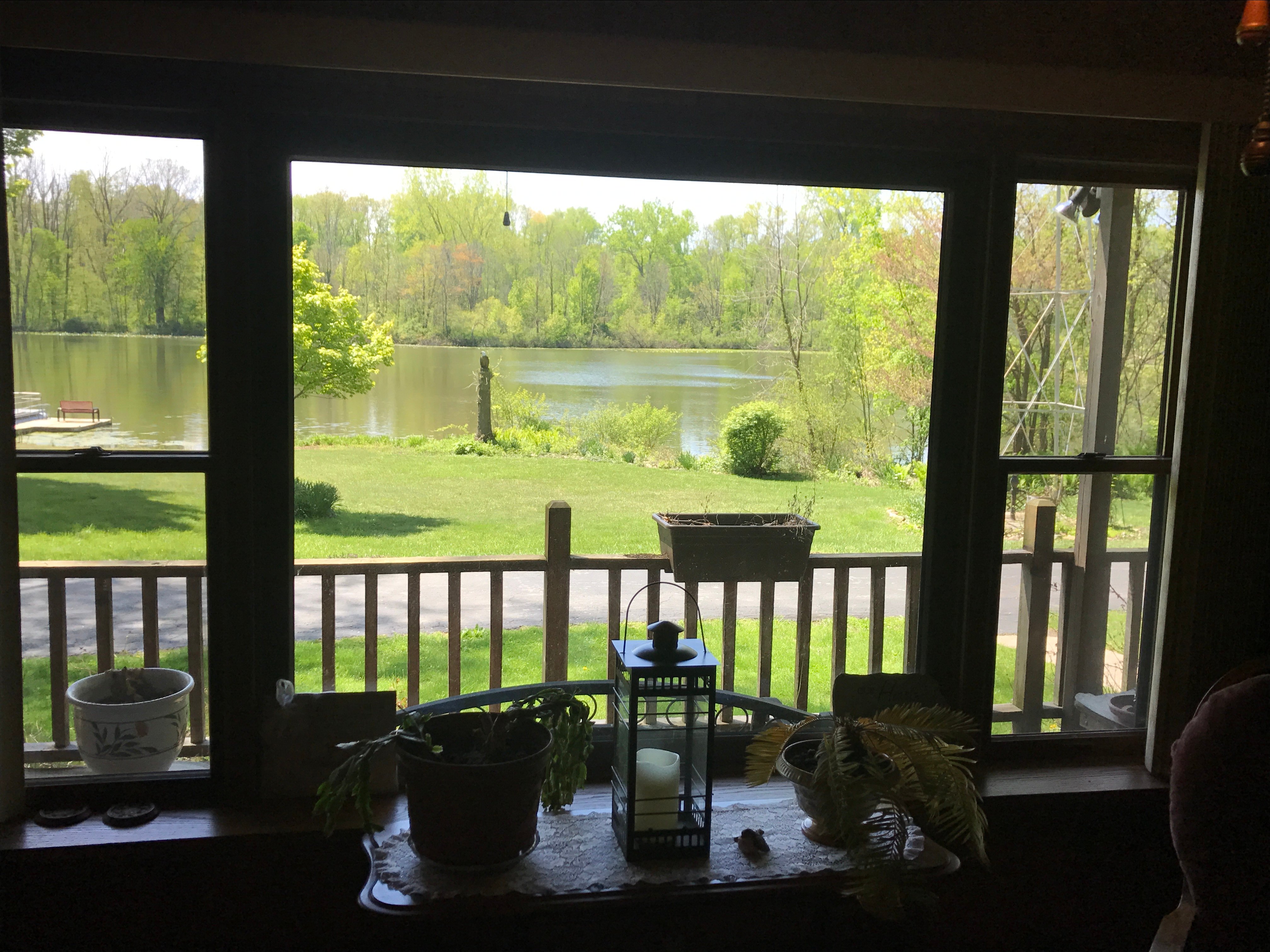 Real Estate Pictures