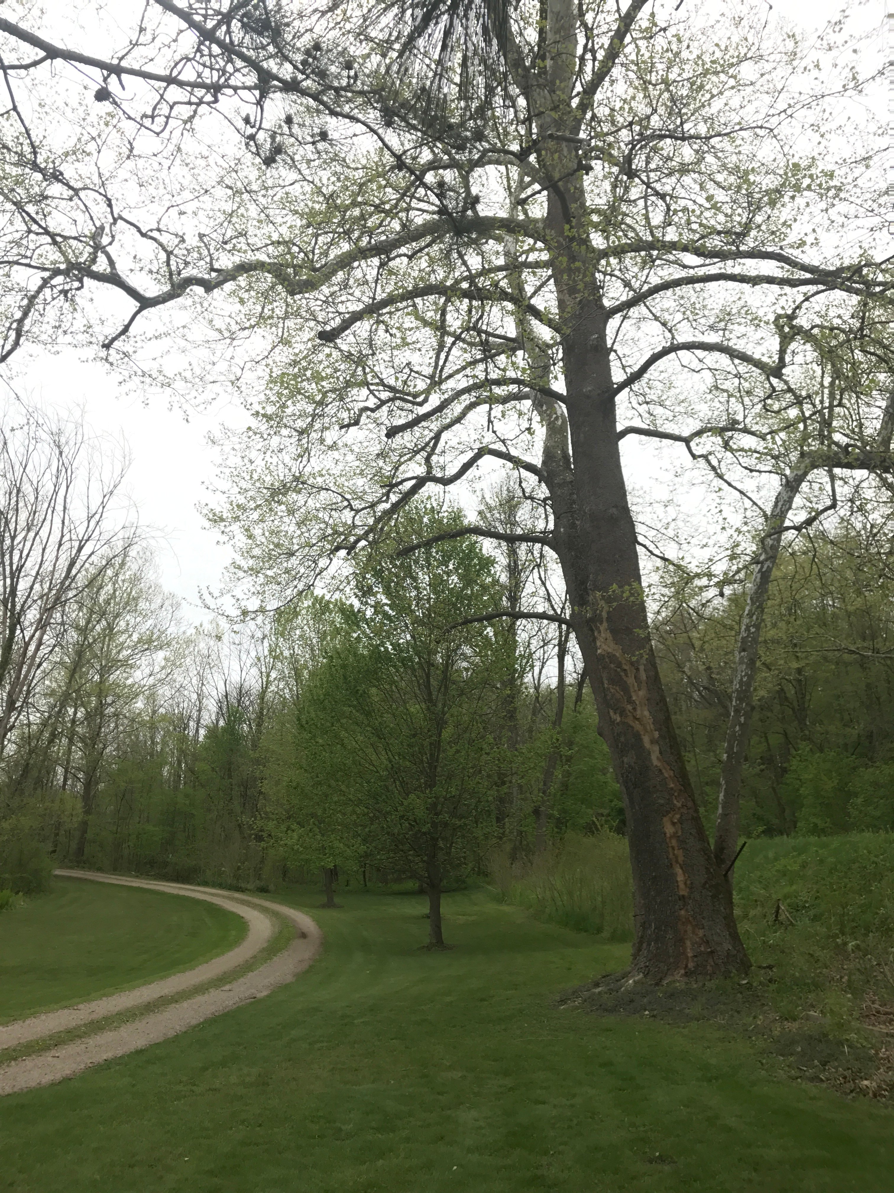 Real Estate Pictures