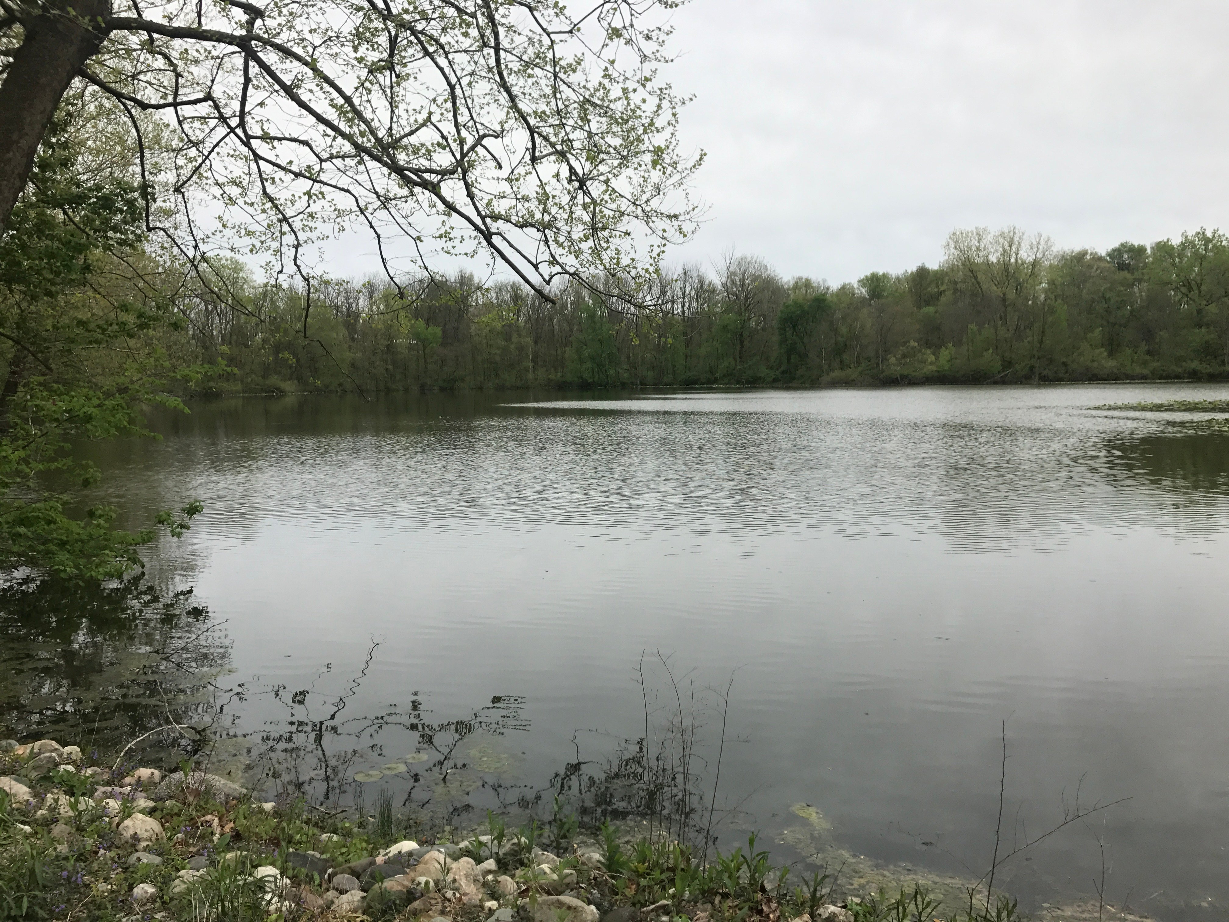 Real Estate Pictures