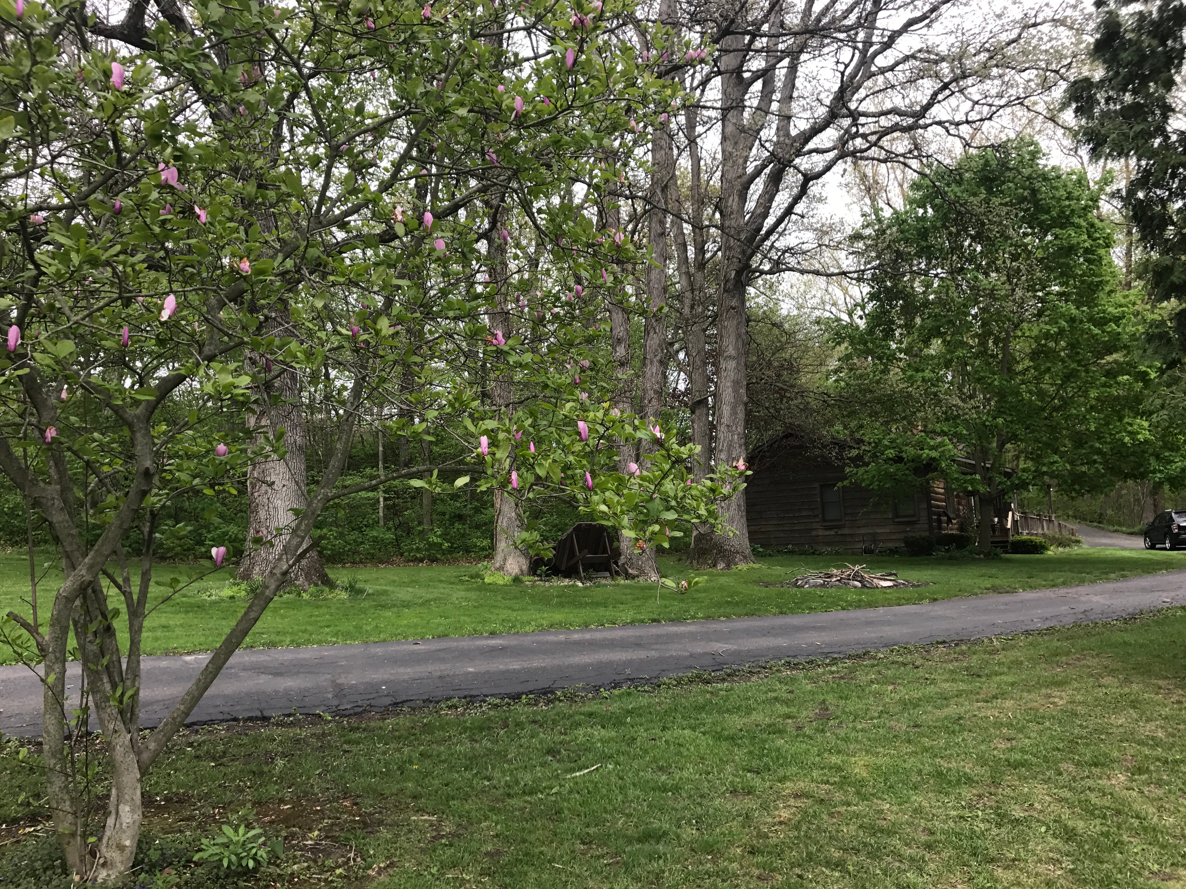 Real Estate Pictures