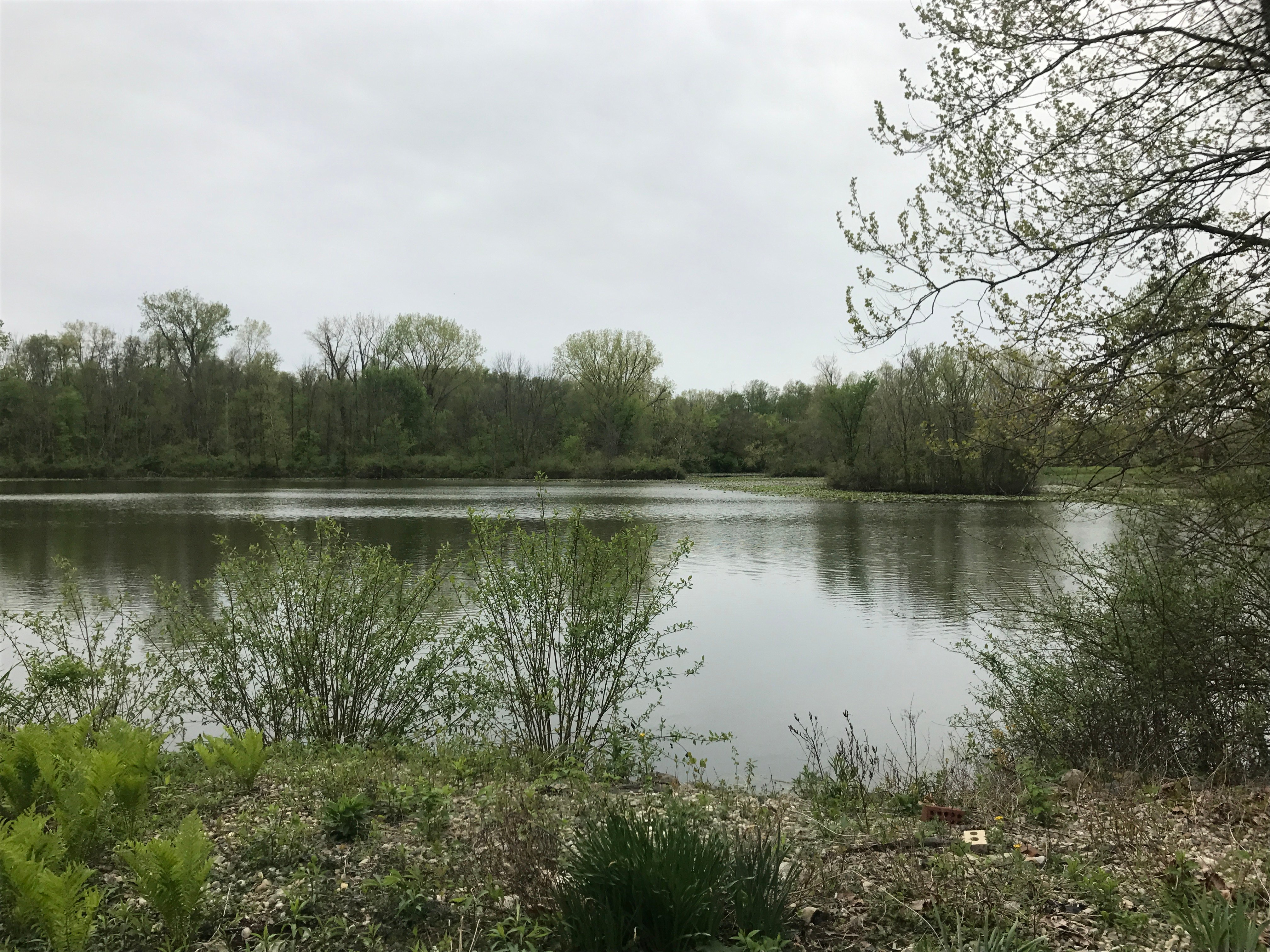 Real Estate Pictures