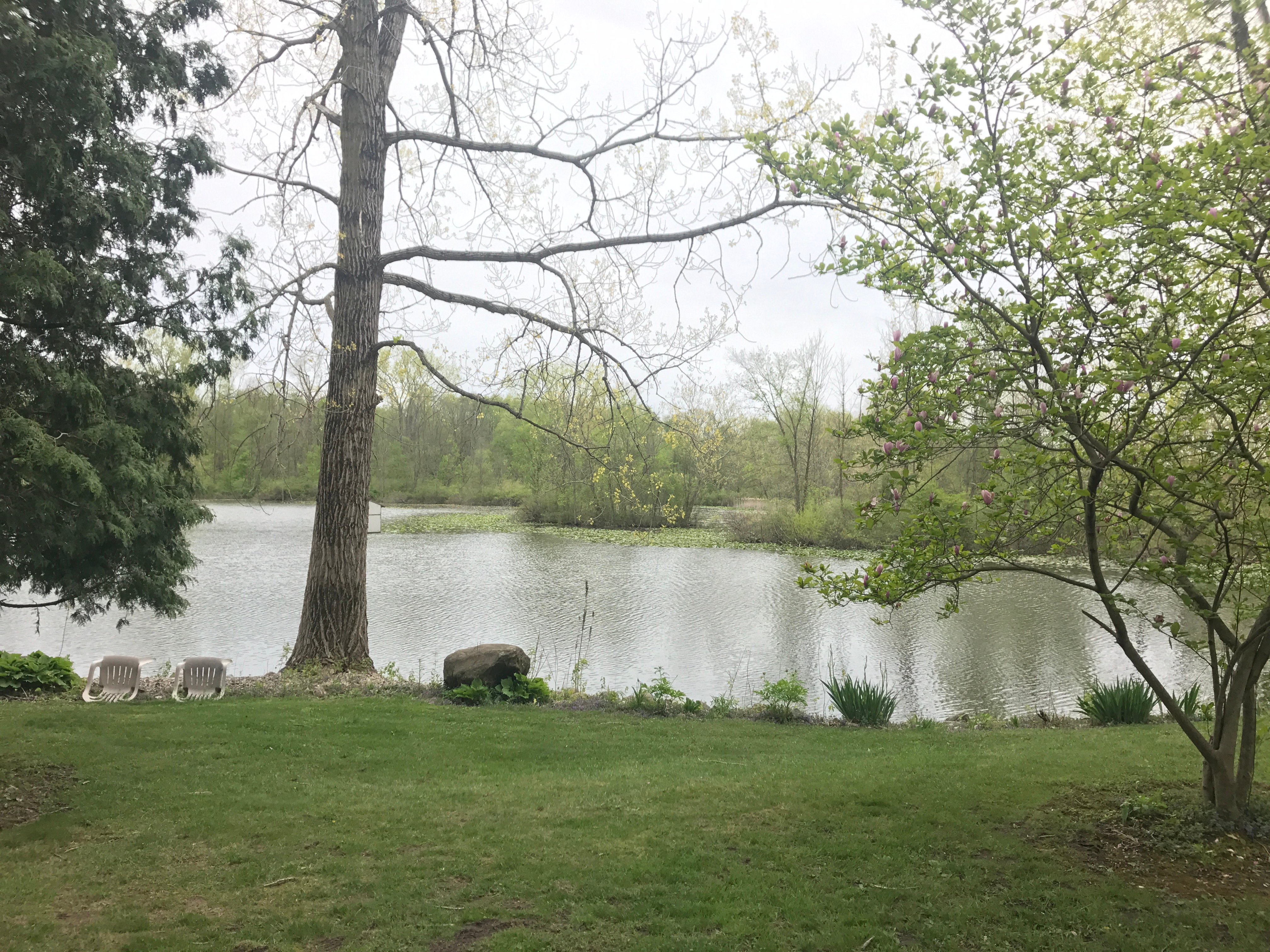 Real Estate Pictures