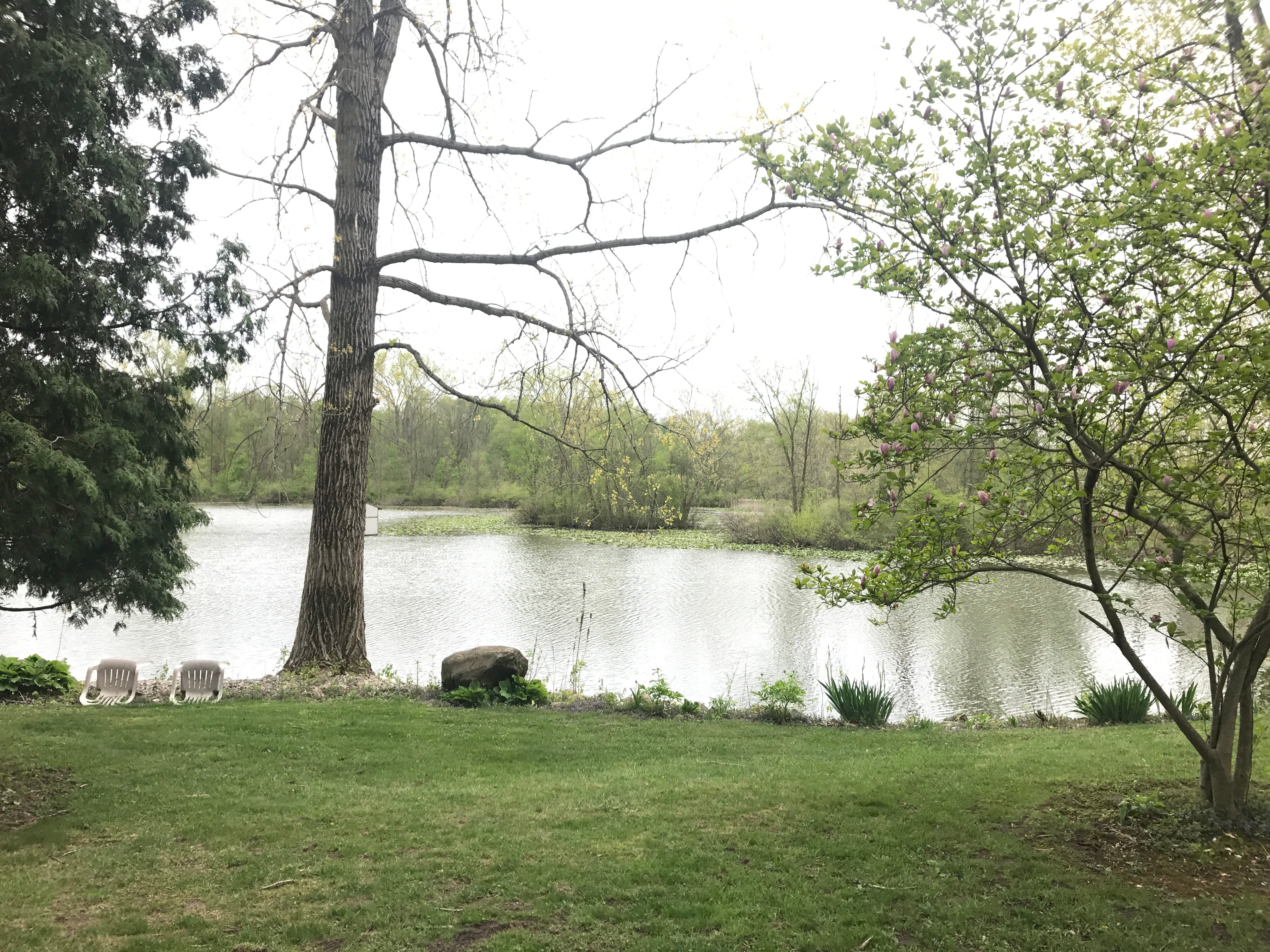 Real Estate Pictures