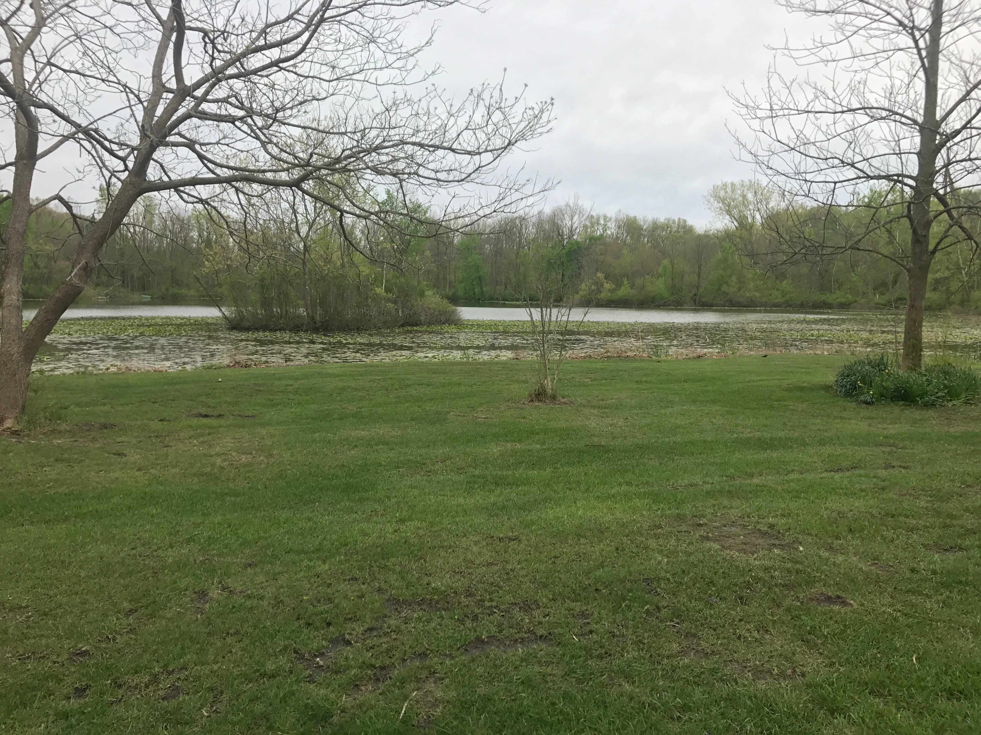 Real Estate Pictures