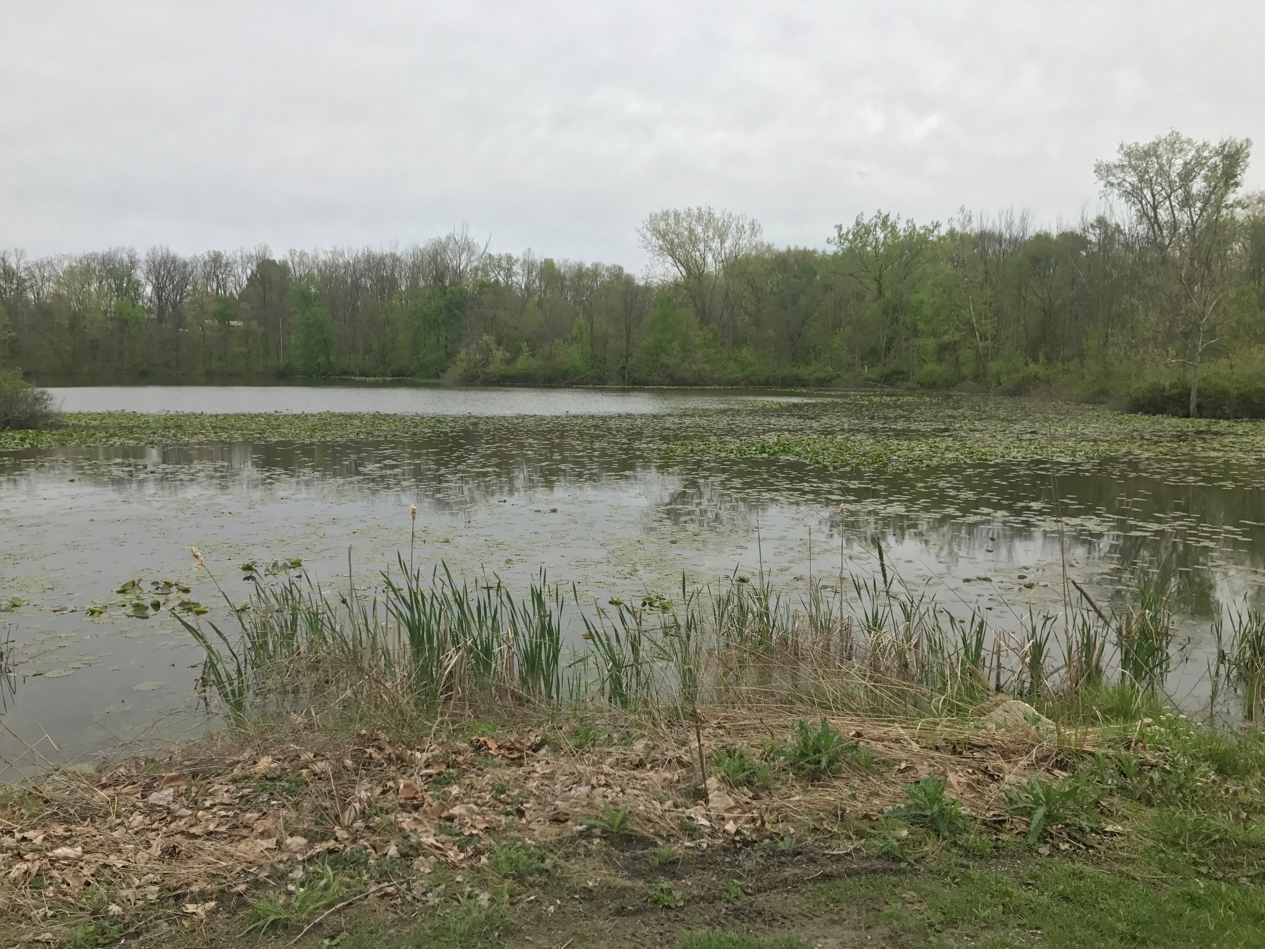 Real Estate Pictures