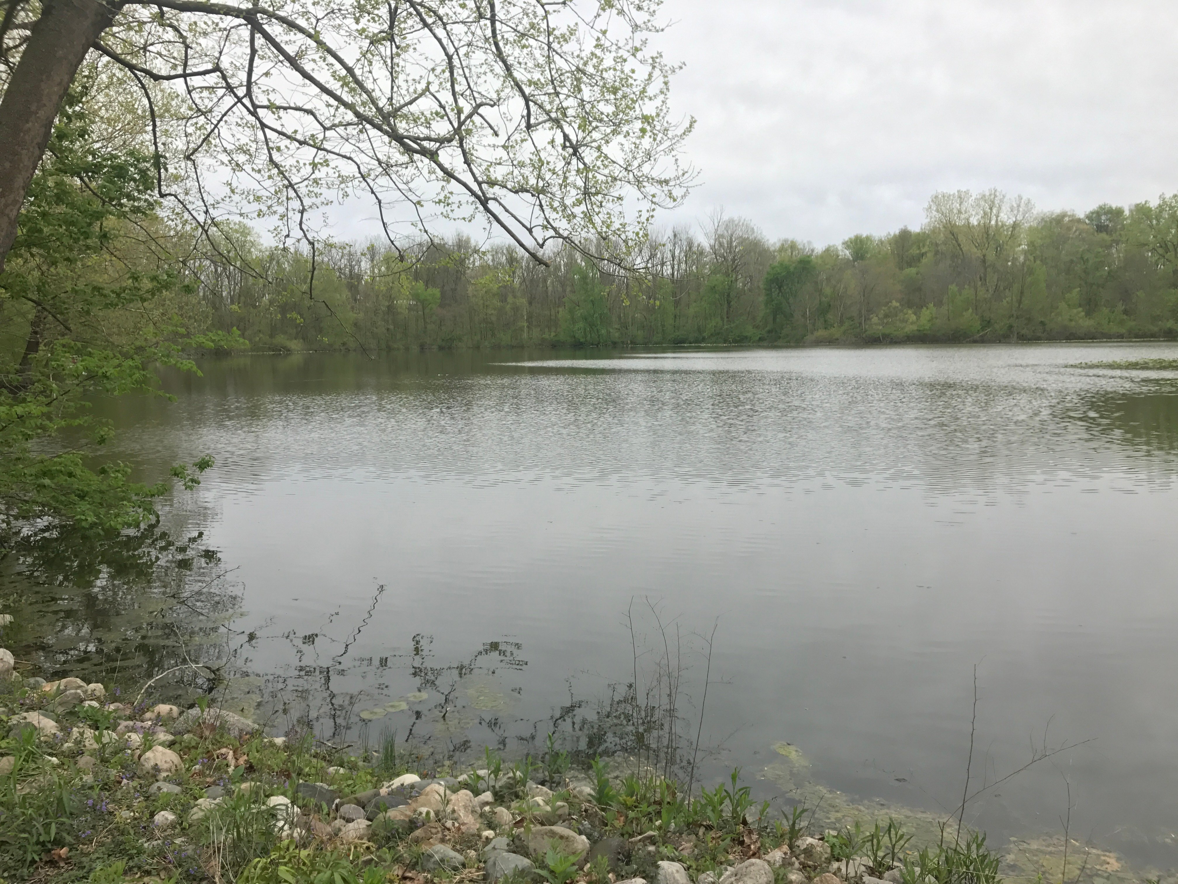 Real Estate Pictures