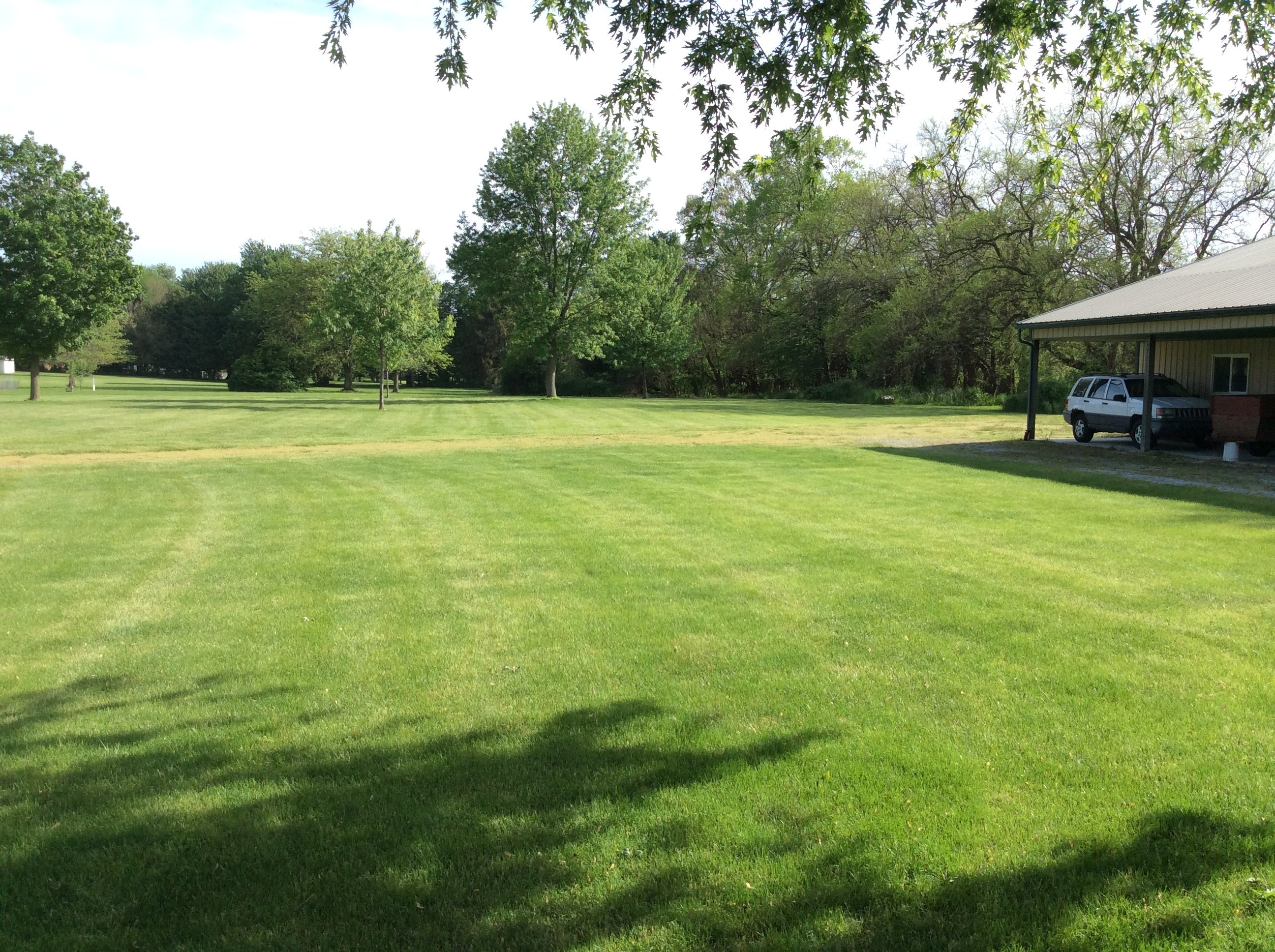 Real Estate Pictures